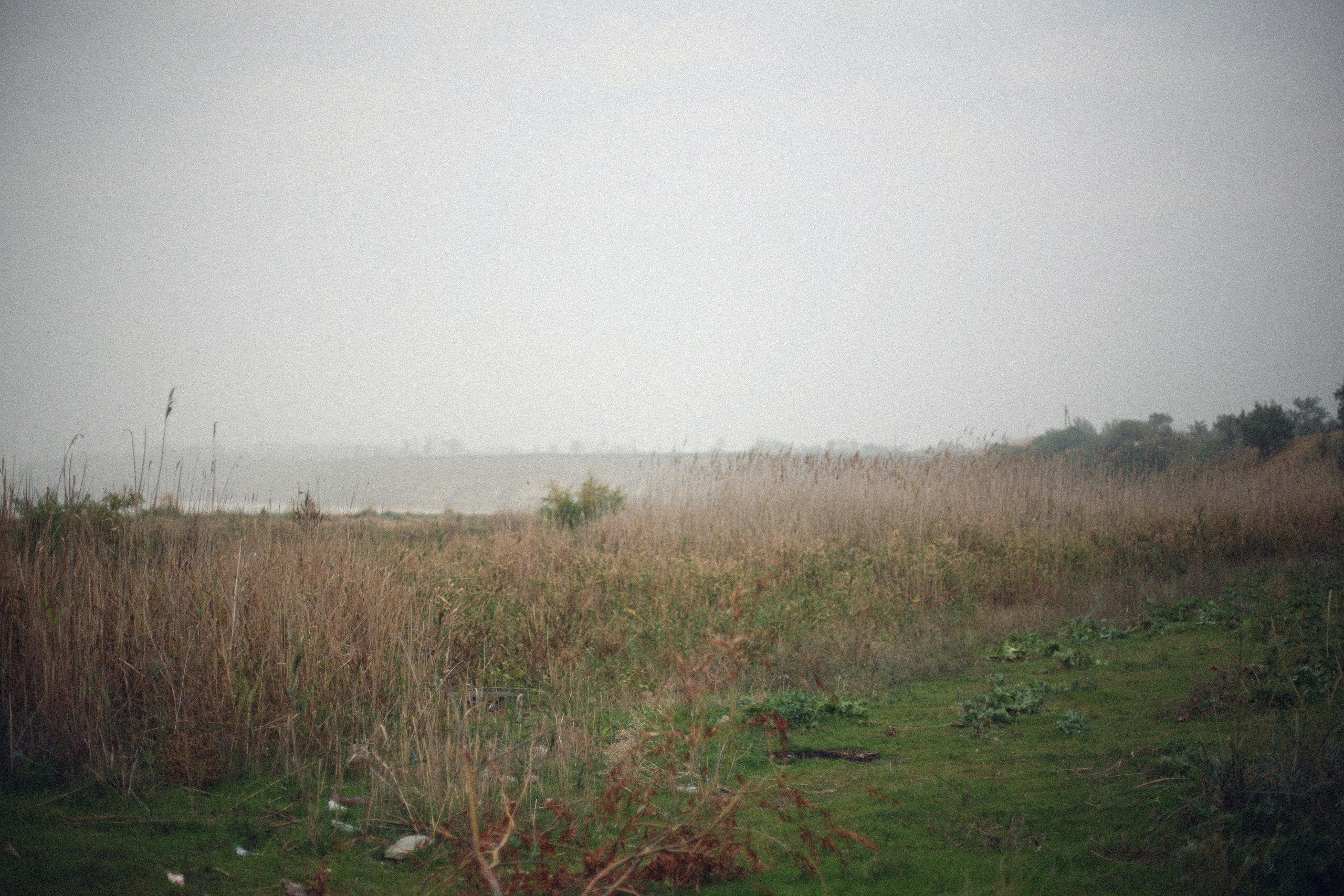 Обрыв. Ксения Плотникова