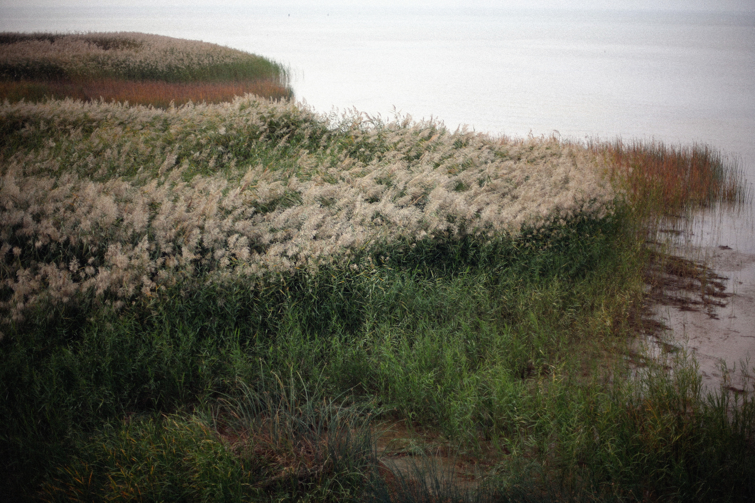 Обрыв. Ксения Плотникова