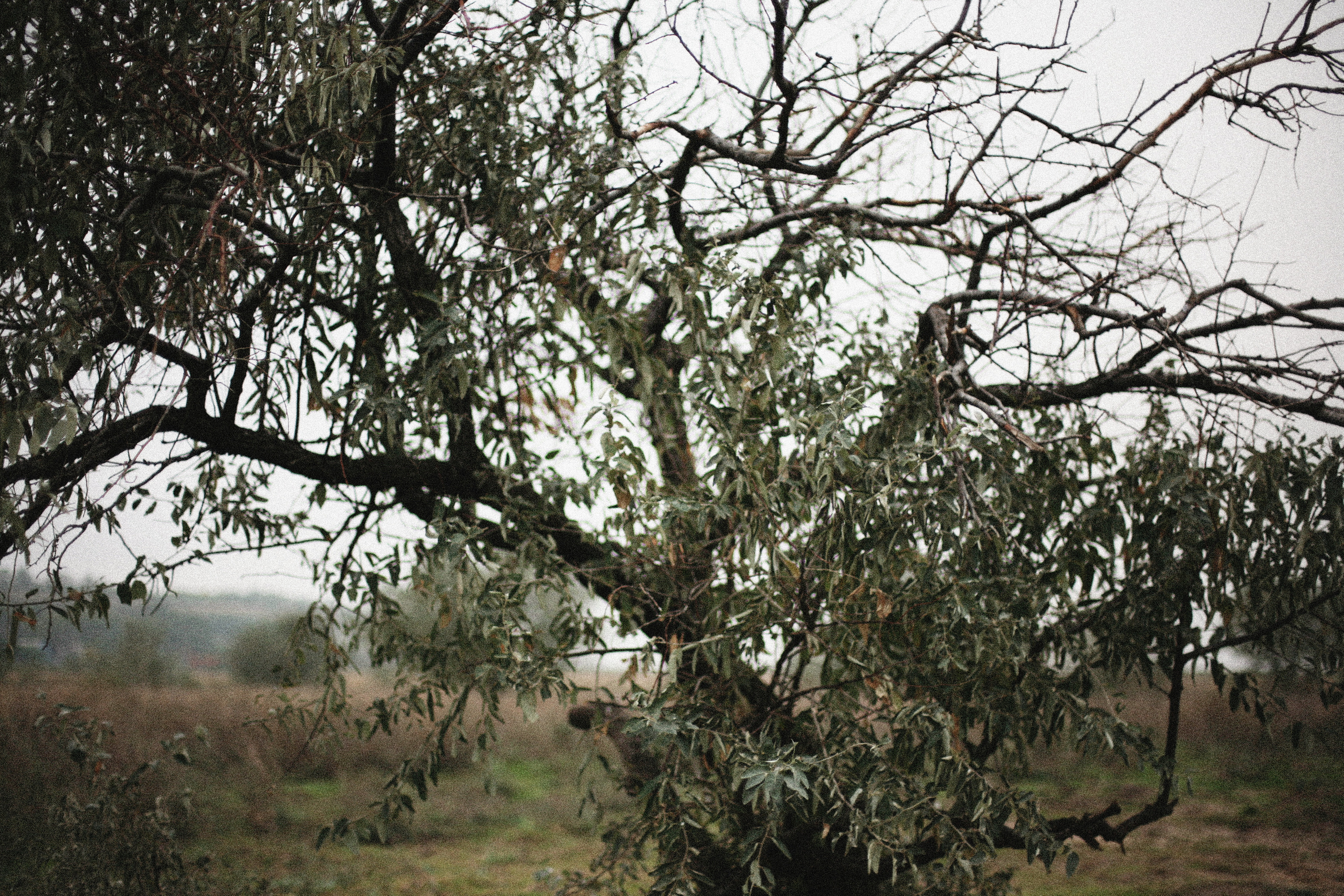 Обрыв. Ксения Плотникова