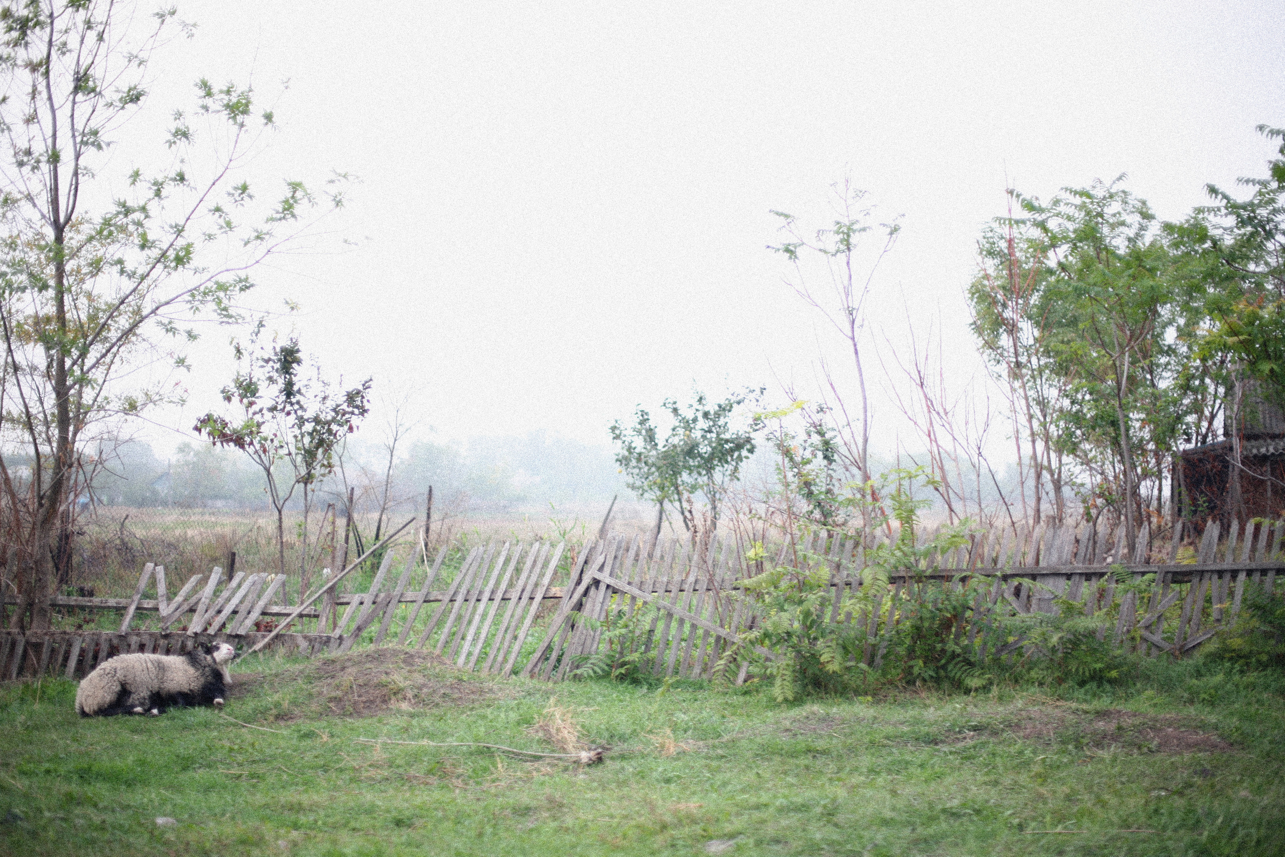 Обрыв. Ксения Плотникова