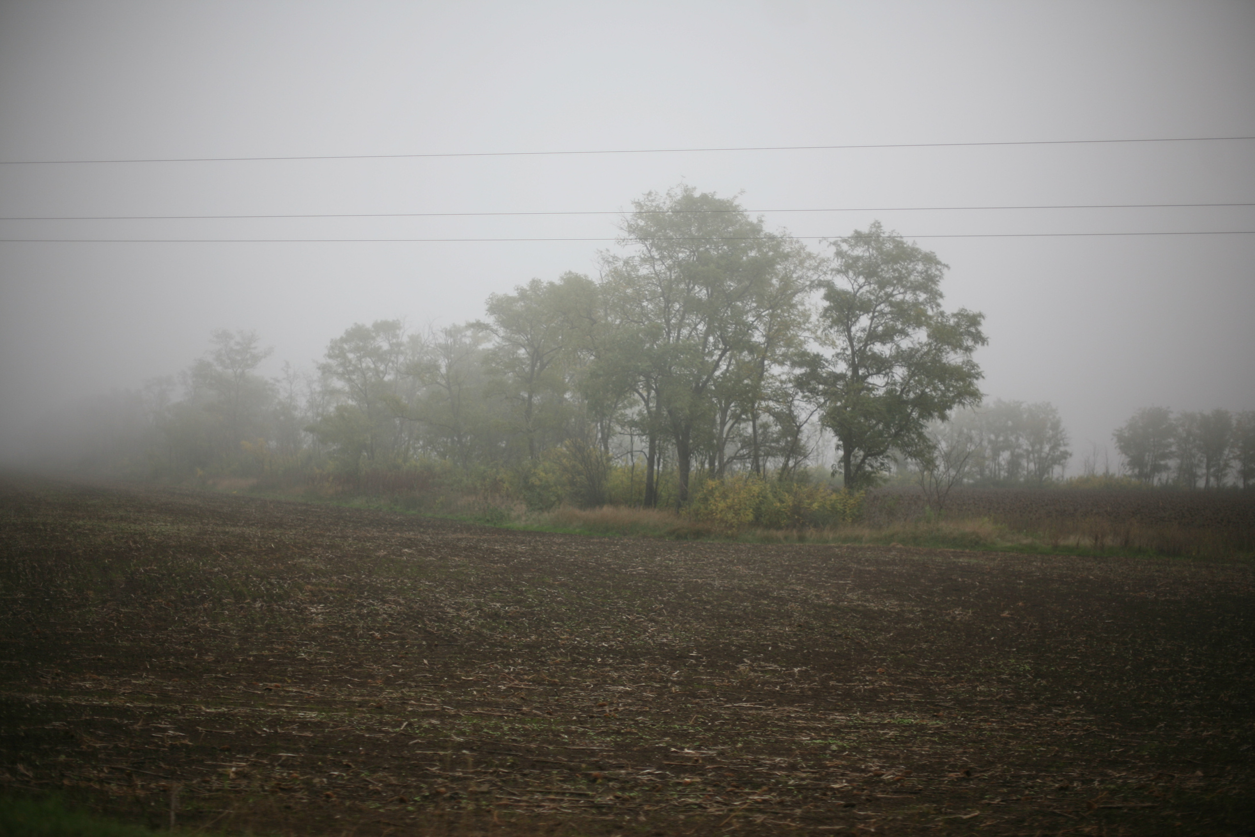 Обрыв. Ксения Плотникова