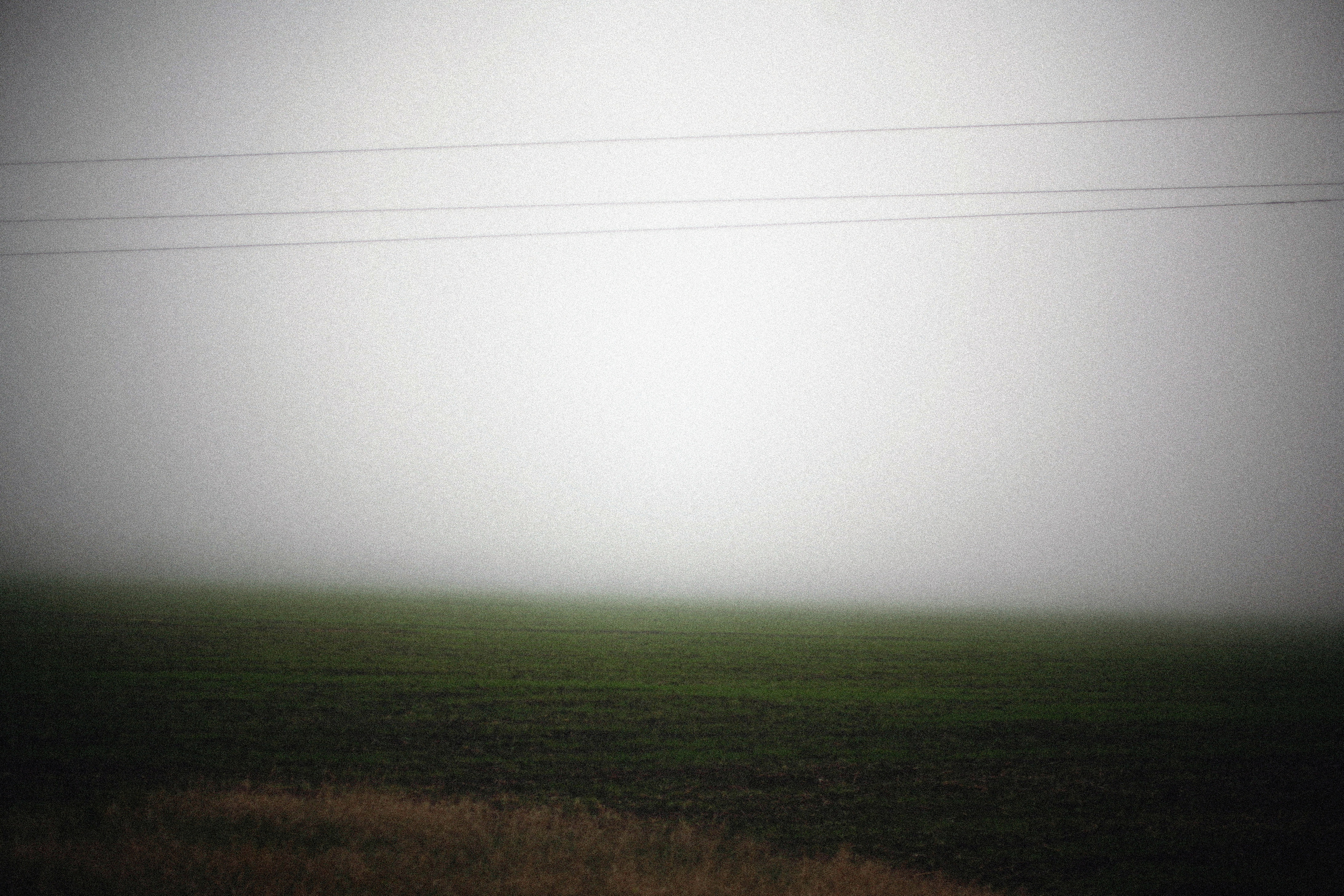 Обрыв. Ксения Плотникова