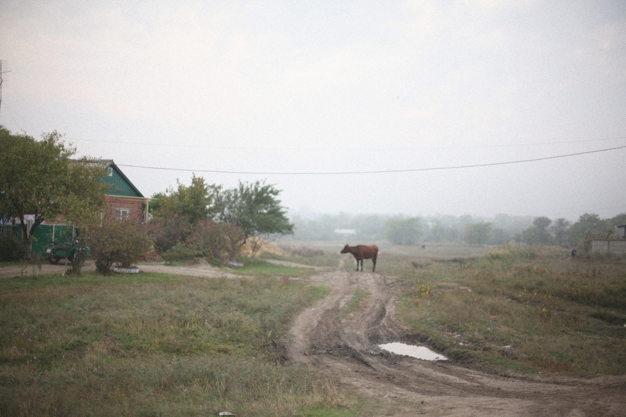 Обрыв. Ксения Плотникова