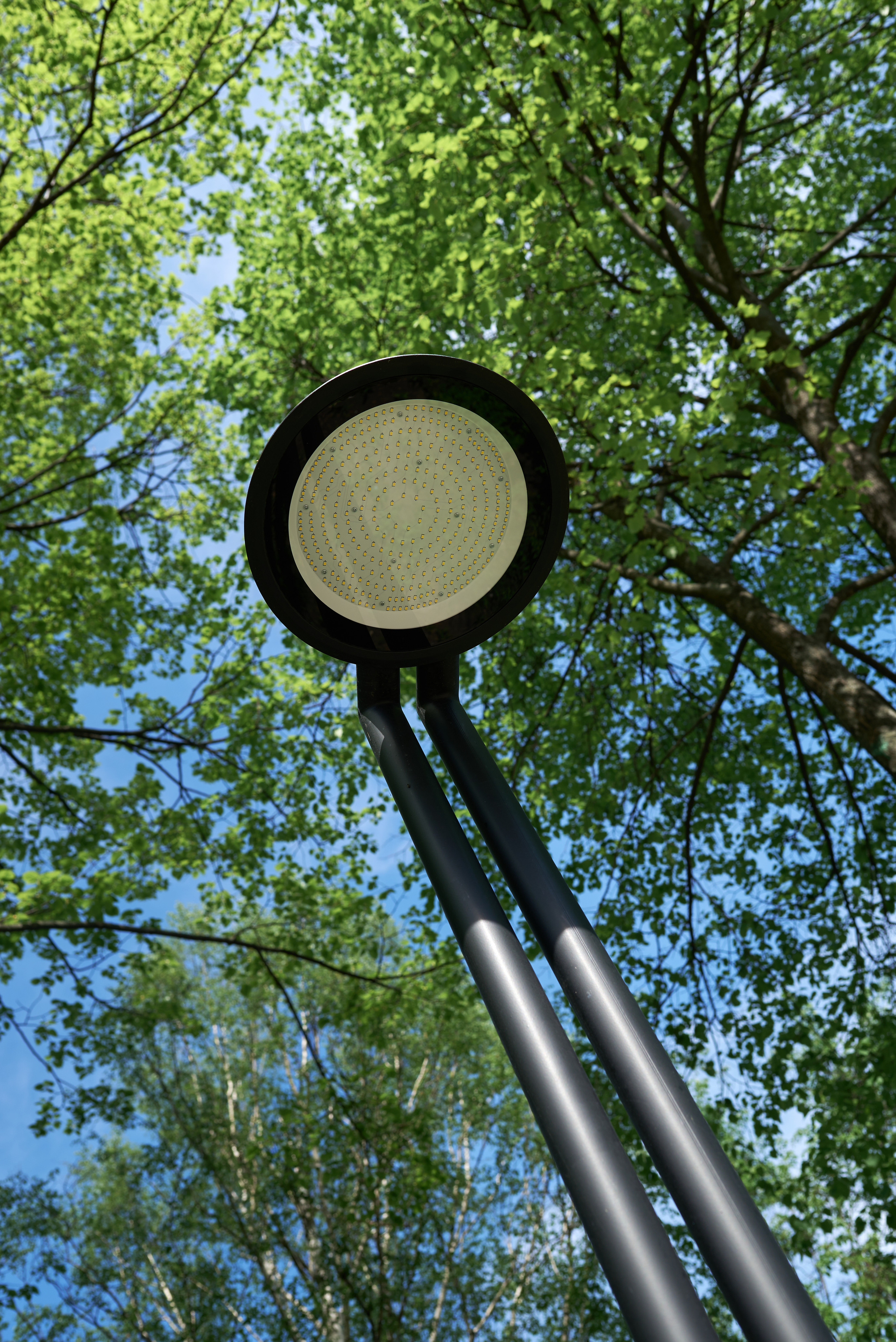 Корпоративная фотосъемка, предметная фотосъемка, интерьерная фото. Профессиональный фотограф Старый Оскол, Губкин — свадьба, венчание, крещение, юбилей и день рождения