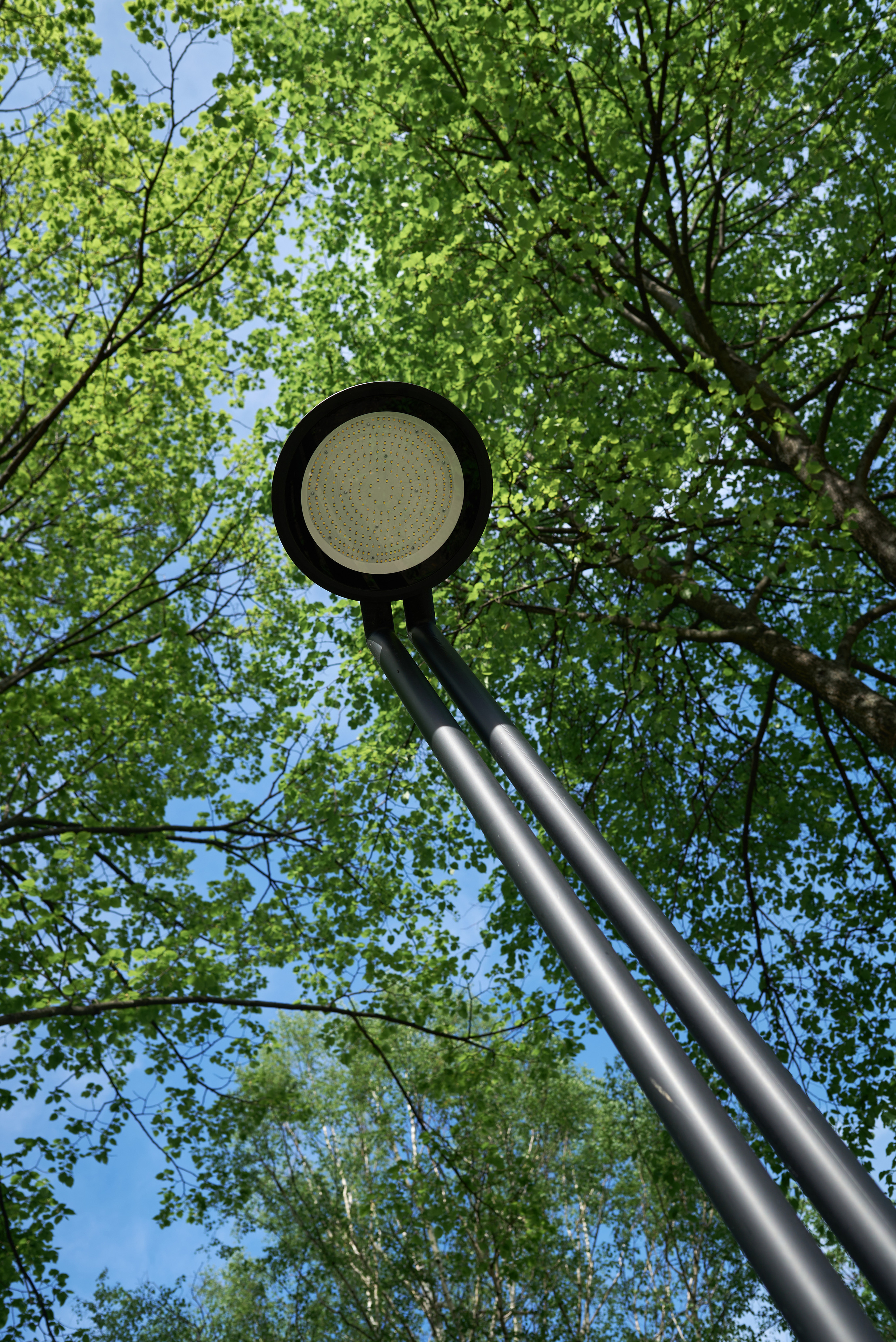 Корпоративная фотосъемка, предметная фотосъемка, интерьерная фото. Профессиональный фотограф Старый Оскол, Губкин — свадьба, венчание, крещение, юбилей и день рождения