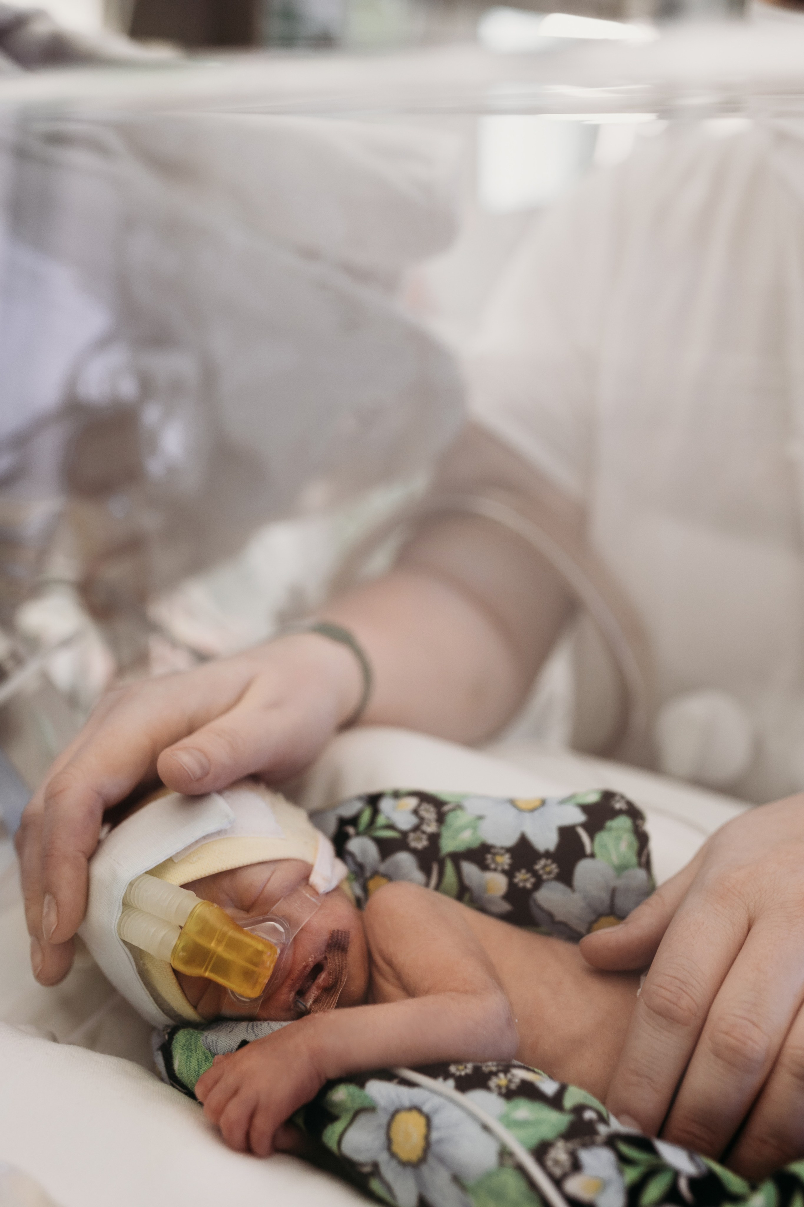 Фотодень в ДАРе. Фотограф новорожденных в г. Барнаул Ренпенинг Катерина