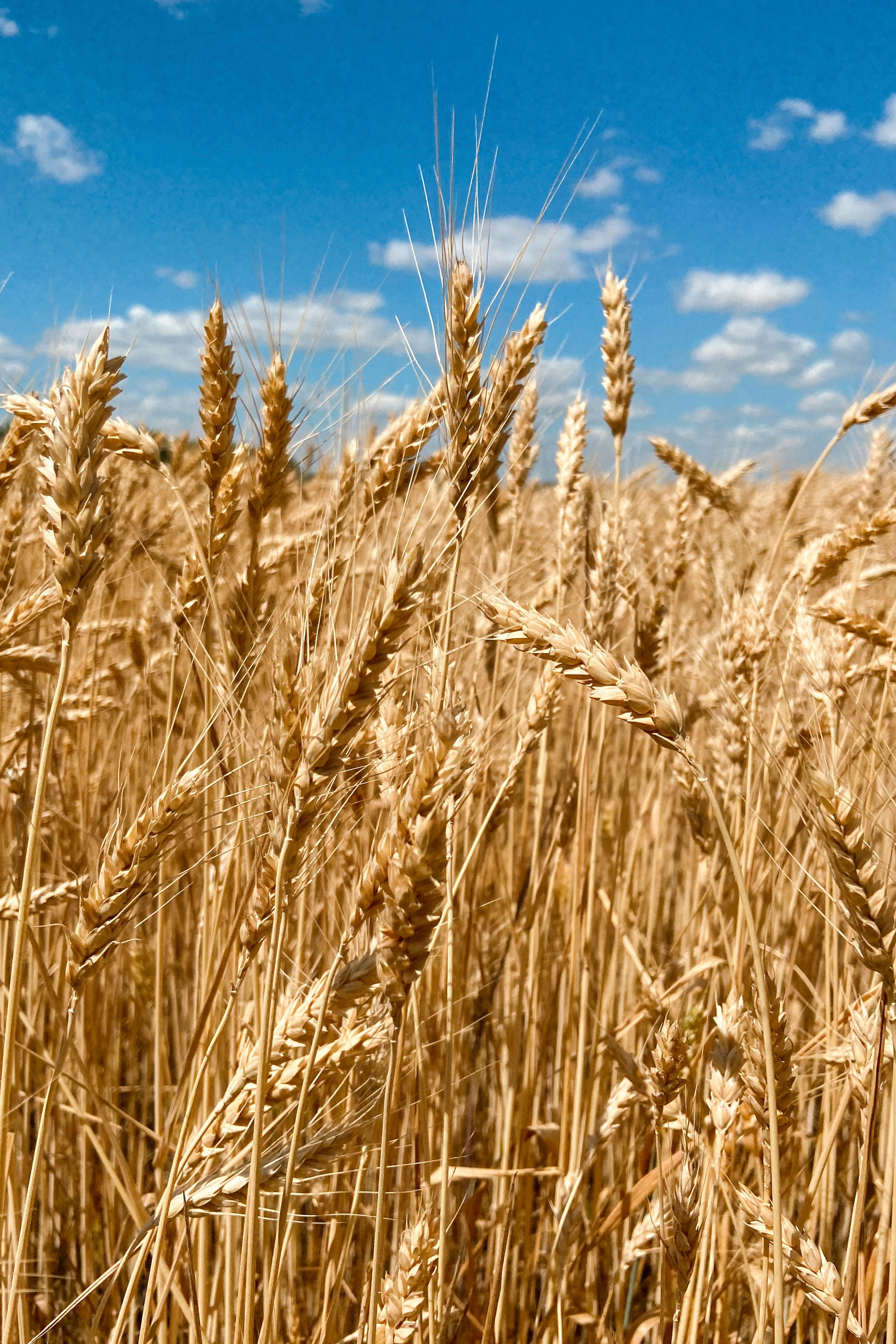 Природа. Команда фотографов Кристины Ивановой