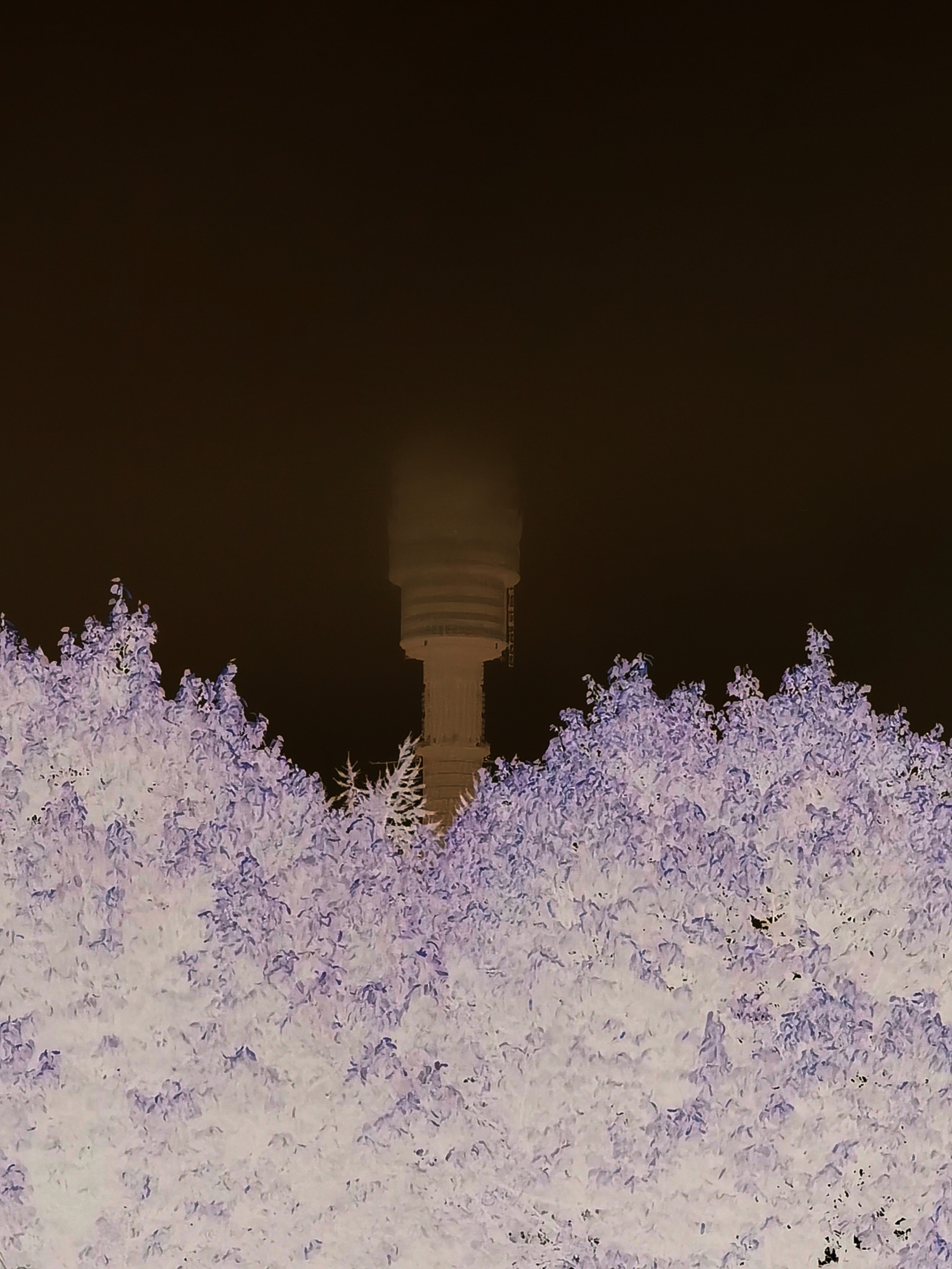 Москва — Кассиопея. E-Tsoy.com