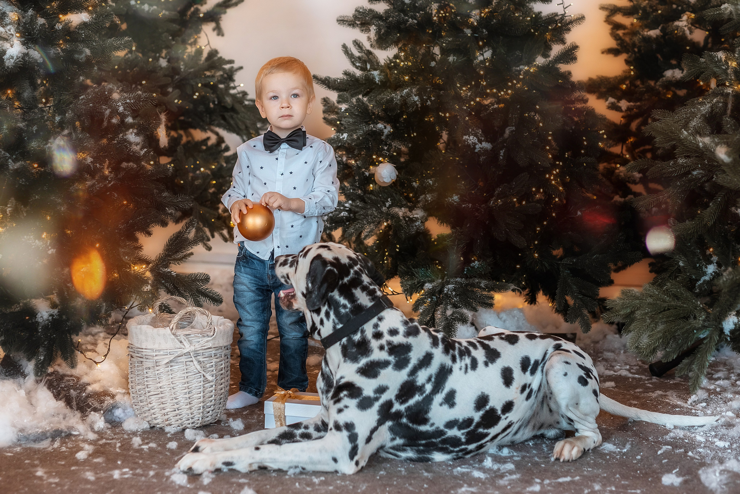 Фотосессия с далматинцем. Семейный, детский фотограф в Воронеже Анна Никитина