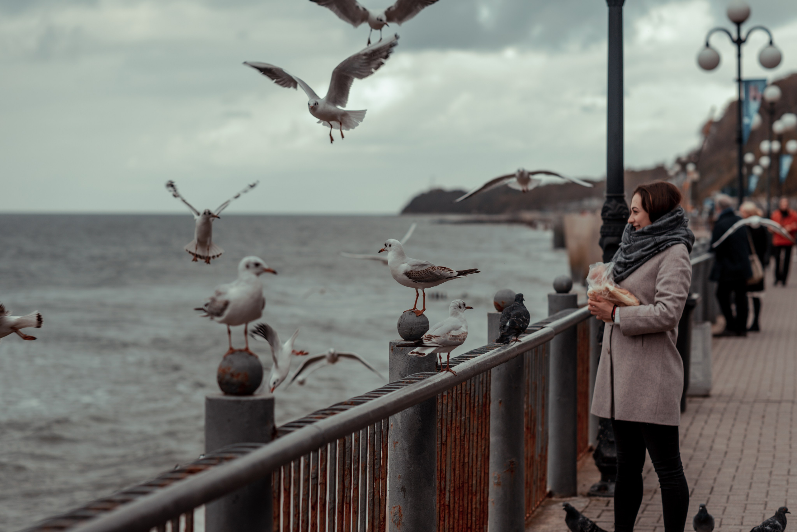 Калининград и его область: через объектив рекламного фотографа из Гуанчжо. Коммерческий и предметный фотограф в Гуанчжоу Коваленко Александр