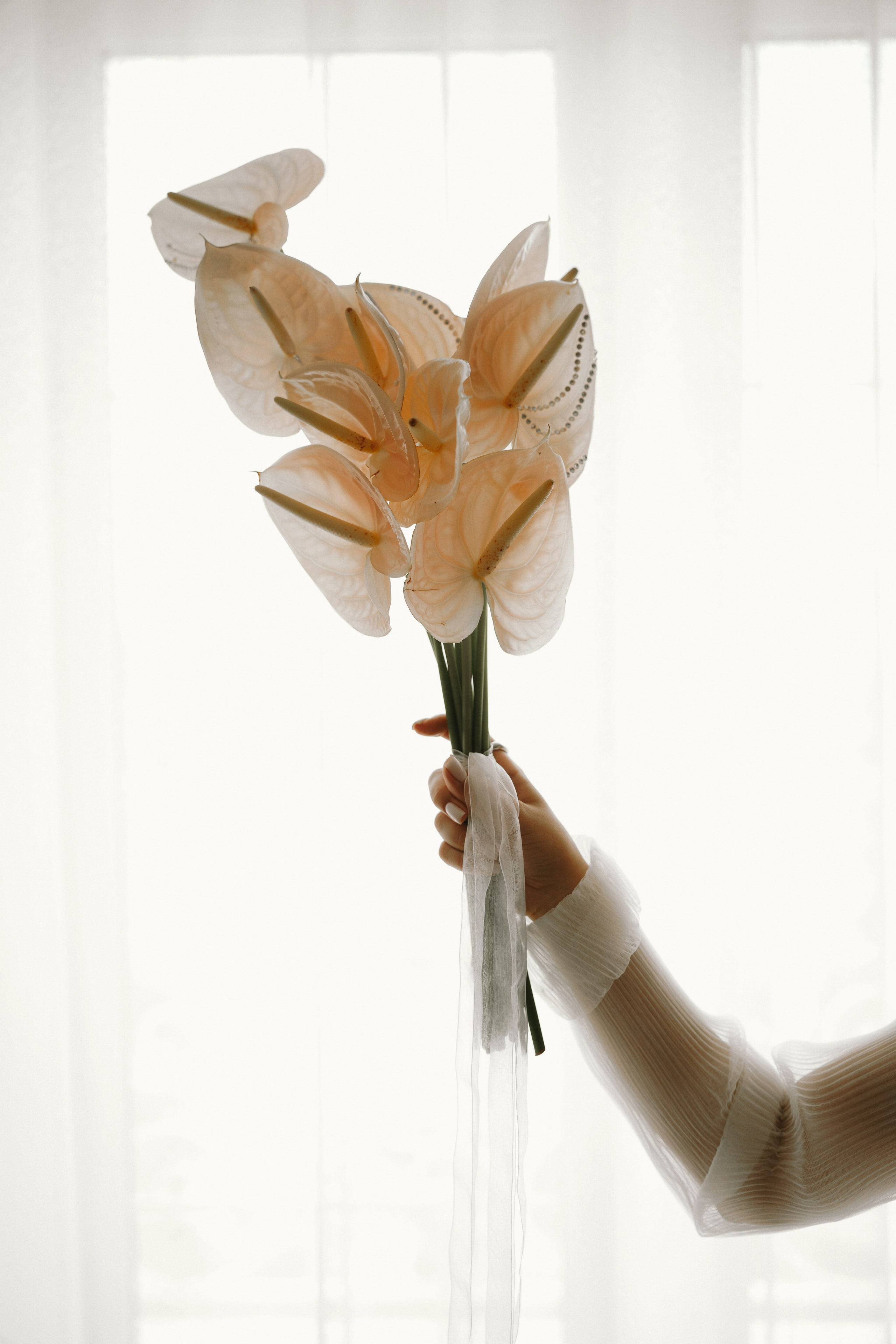 Георгий и Анна. Организатор Романова Любовь