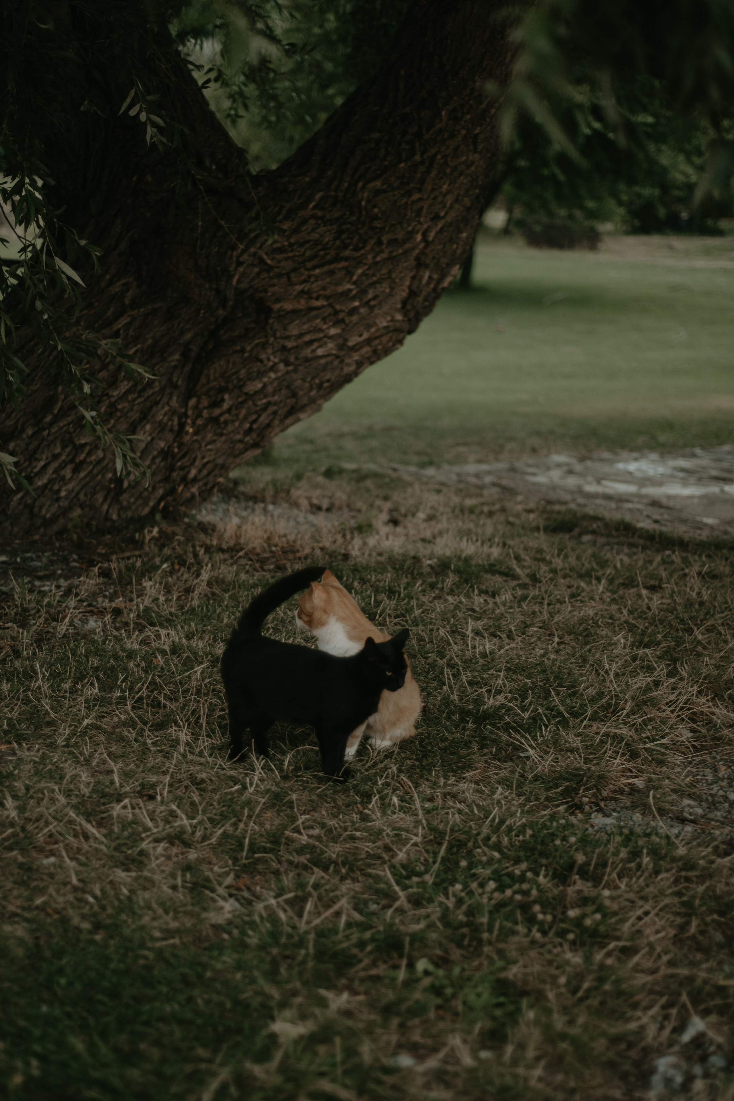 Моменты с тобой. Фотограф и Видеограф Анапа, Новороссийск, Краснодар. Алина и Женя