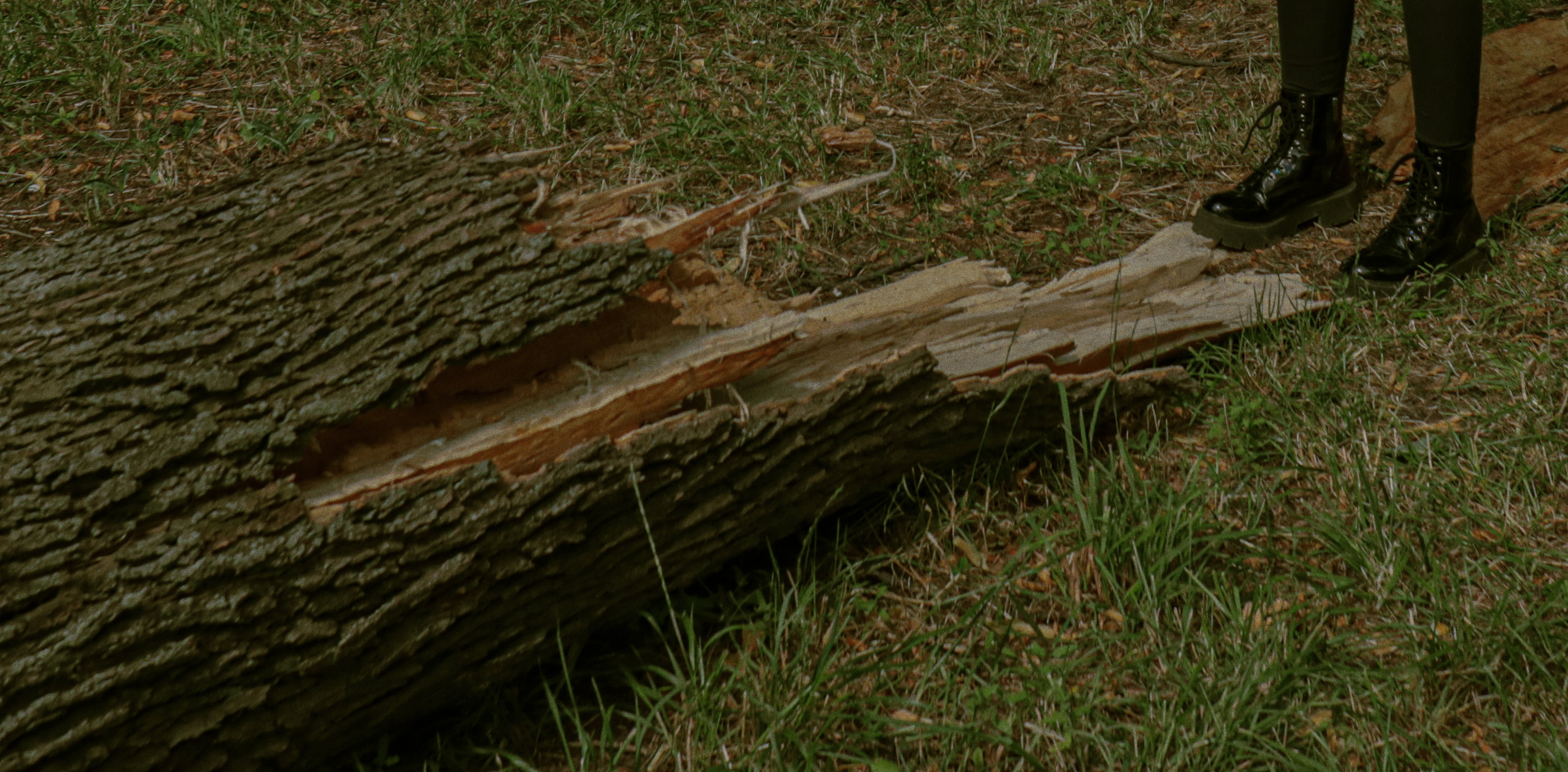 Фотограф в Нижнем Новгороде и Москве Алина Абрамова