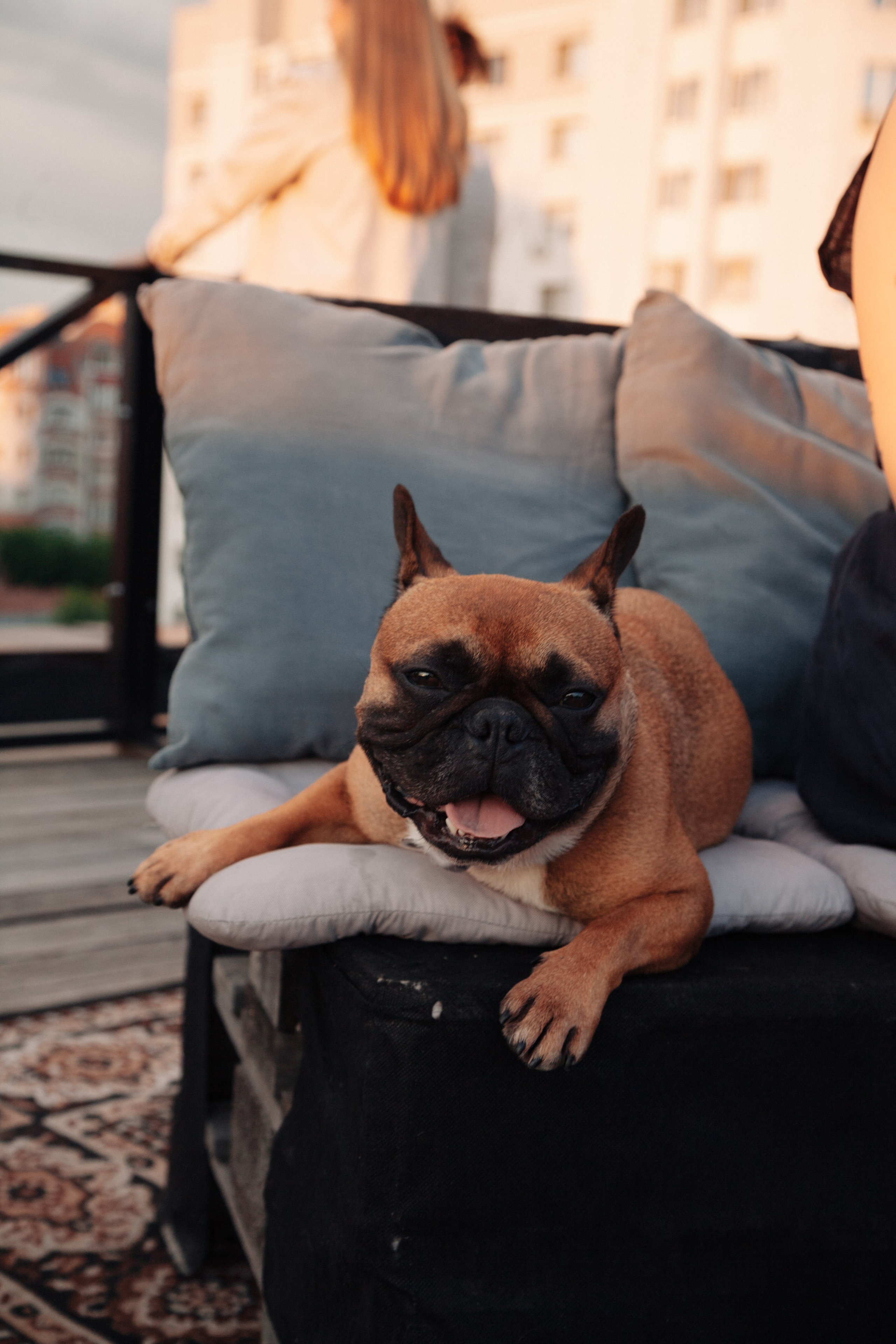 Кинотеатр под открытым небом. Фотограф Александр Иванов