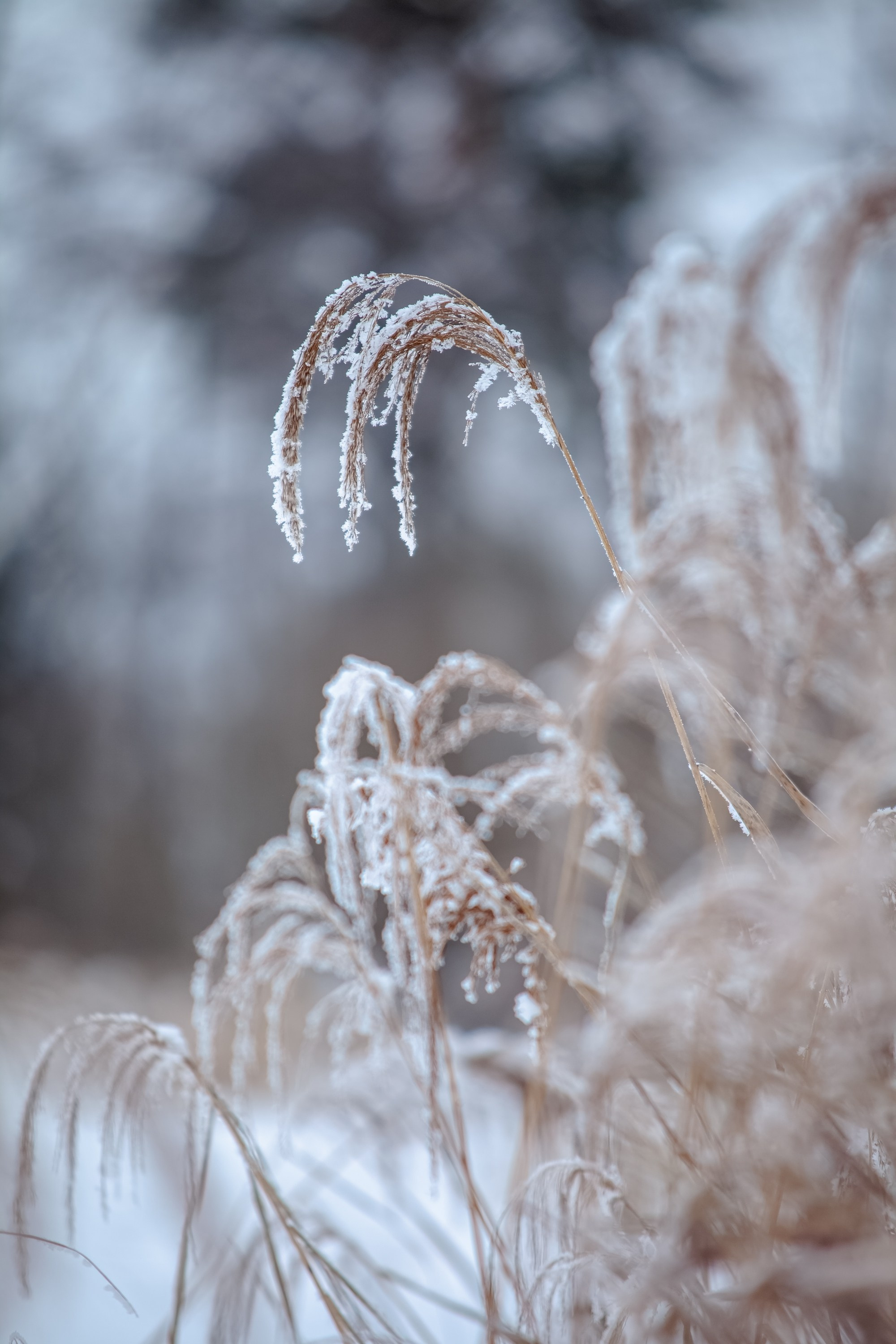 Выключить шум и услышать тишину, утихомирить свои мысли и приземлиться. В фокусе- человек и его состояние!. Туманов Виталий — фотограф Москва