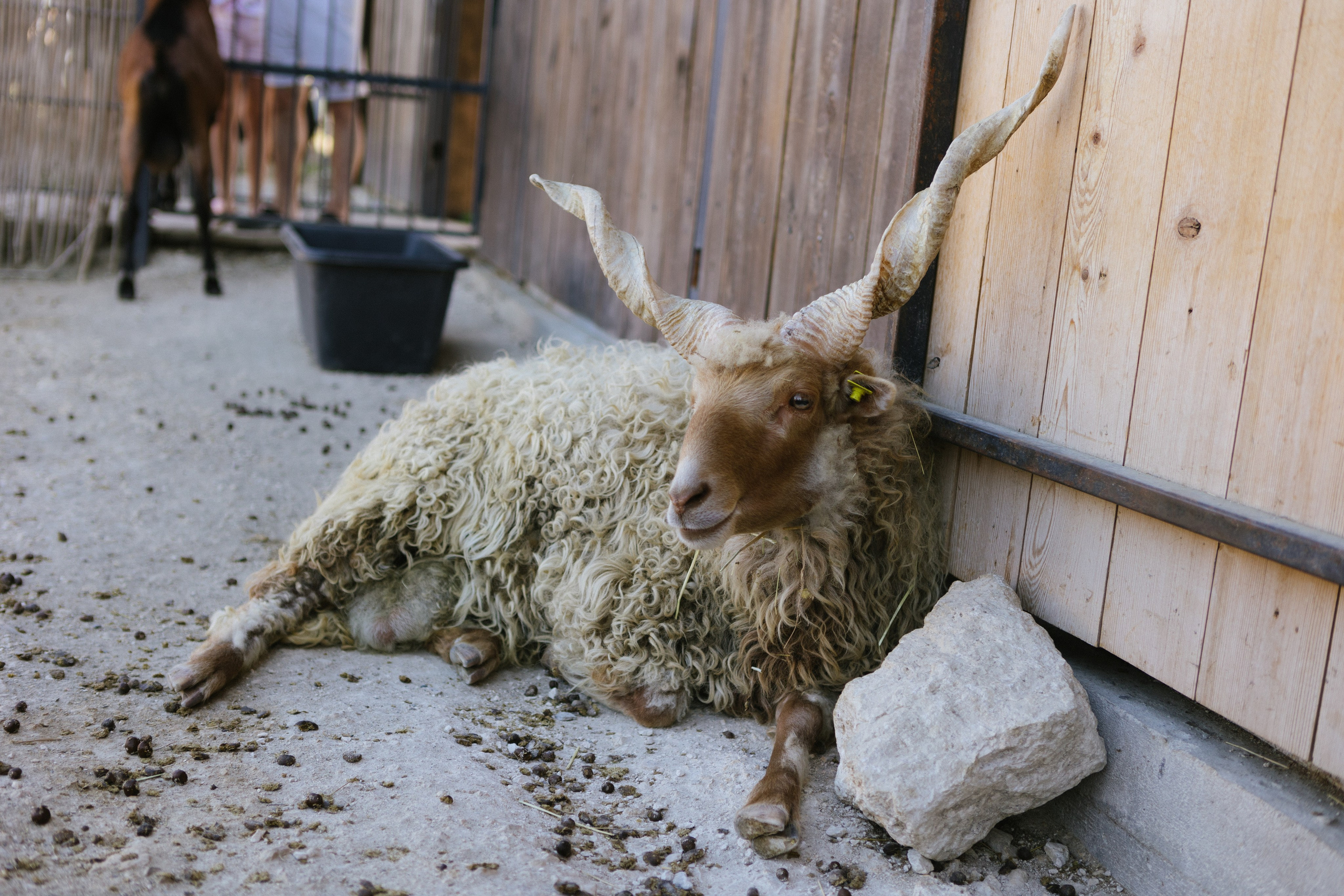 VK МЕСТА АДЫГЕЯ. Концертный и репортажный фотограф в Москве и Санкт-Петербурге Мария