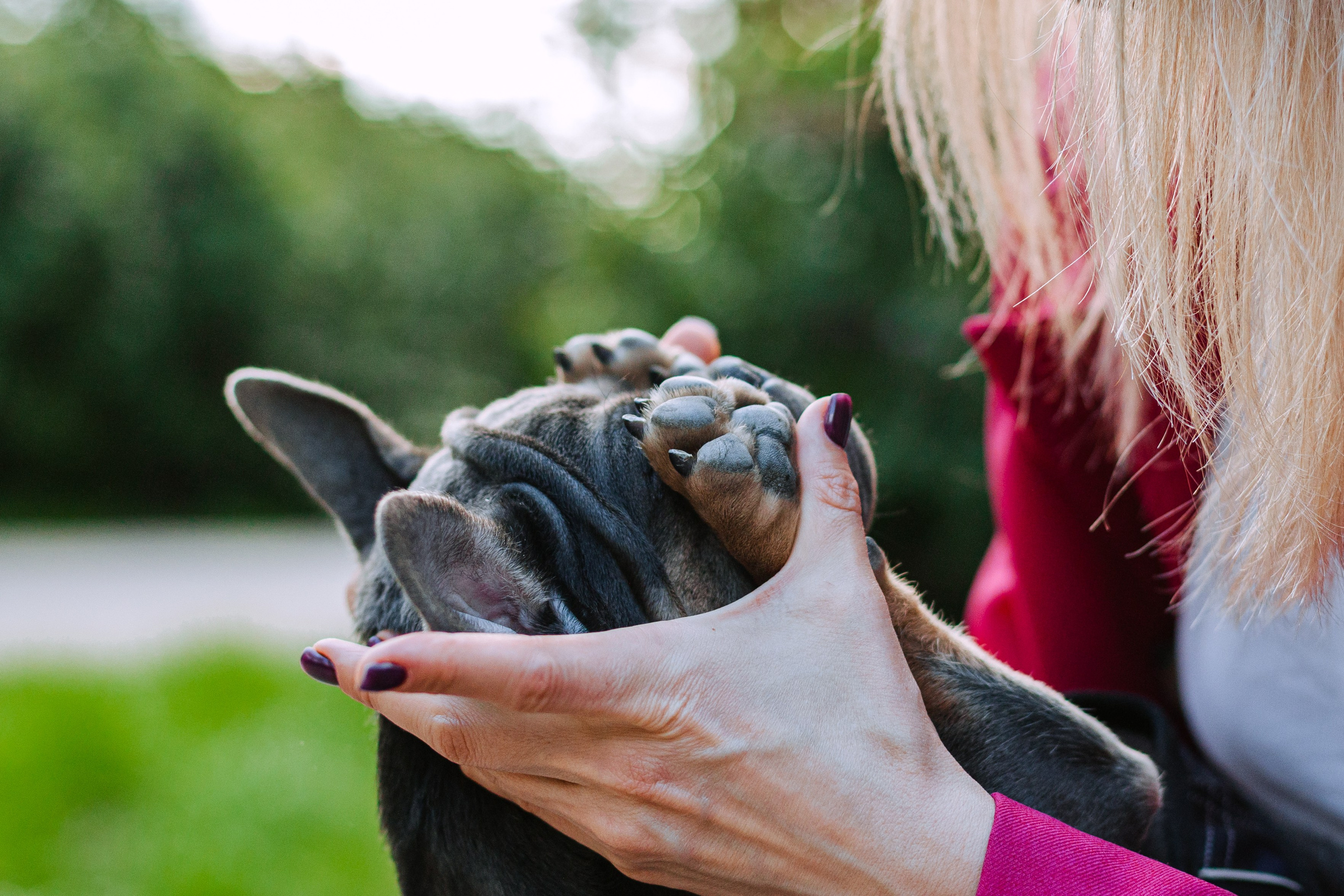 Даша и Мишель. Фотограф-анималист Татьяна Степанова