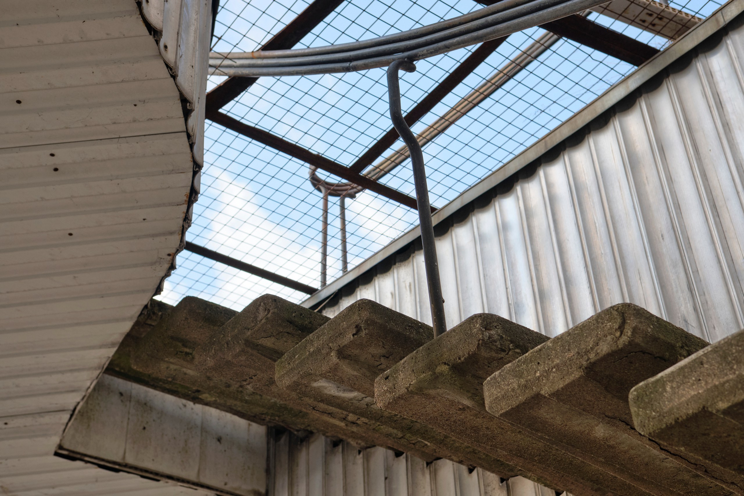 Мартовский Выборг. Фотограф Даниил Богомолов, Санкт-Петербург