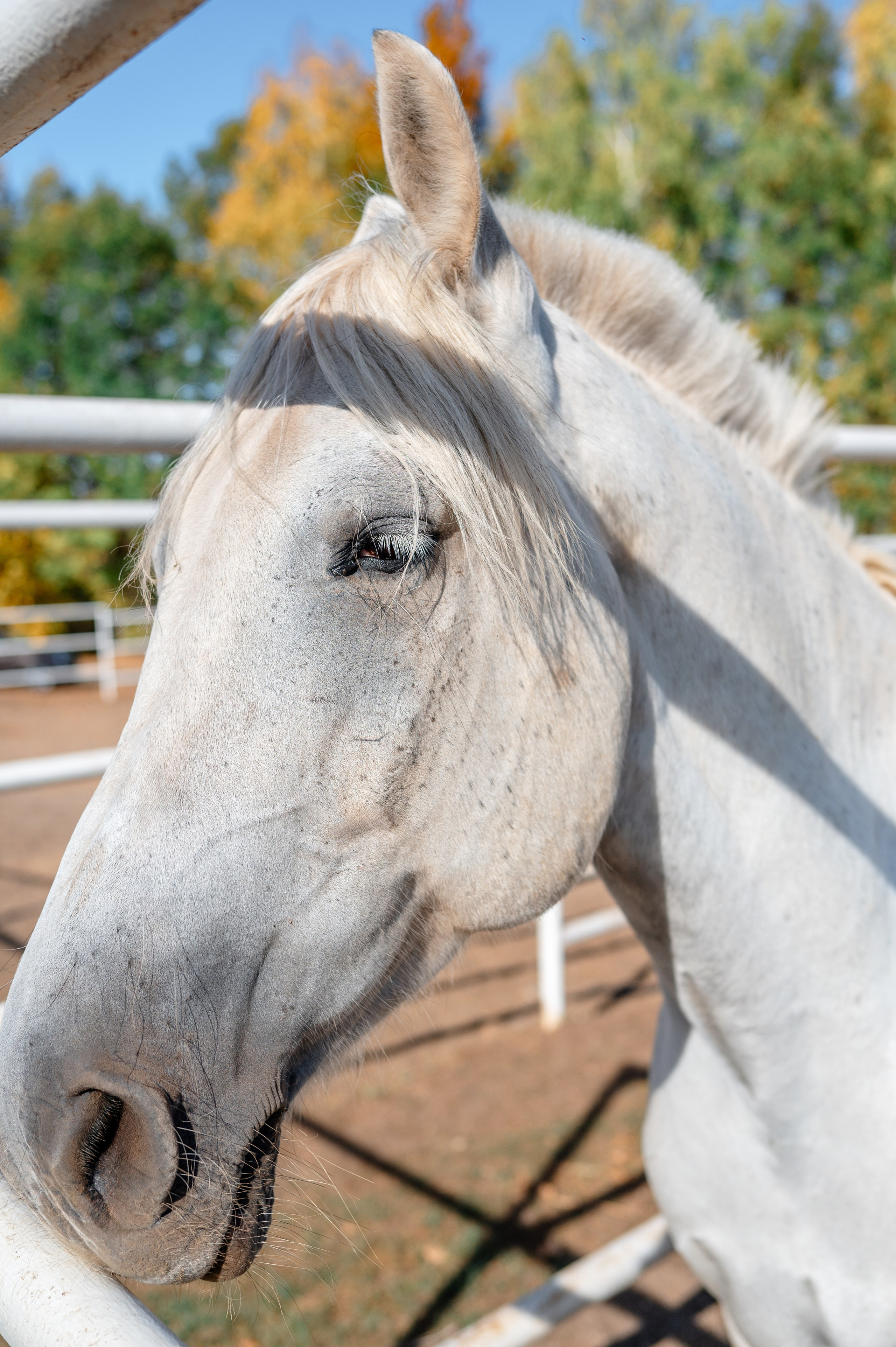 База отдыха «Заимка», Чувашия, сентябрь 2023. Фотограф Александр Золотых