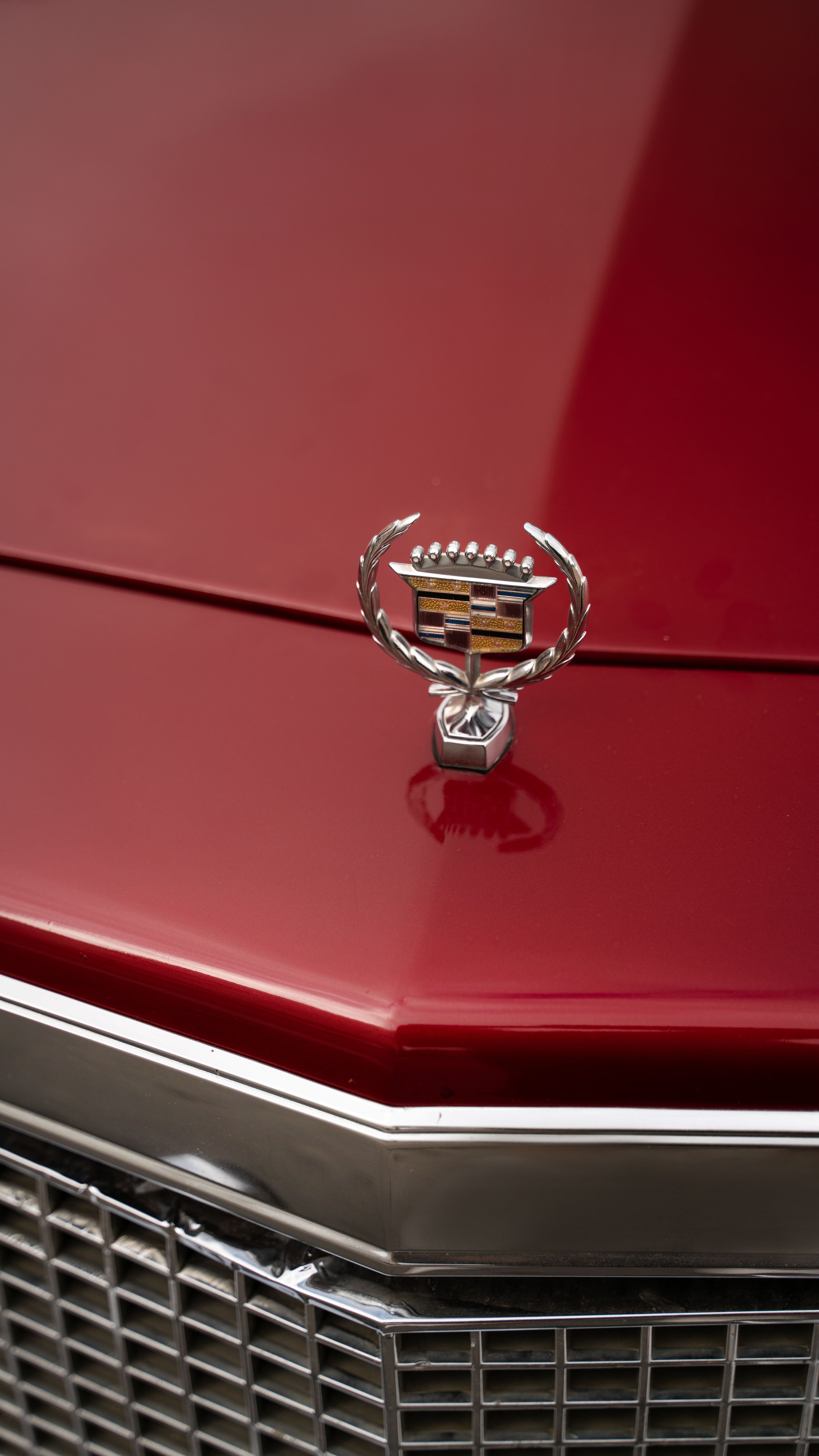 Контент съемка авто. Главная