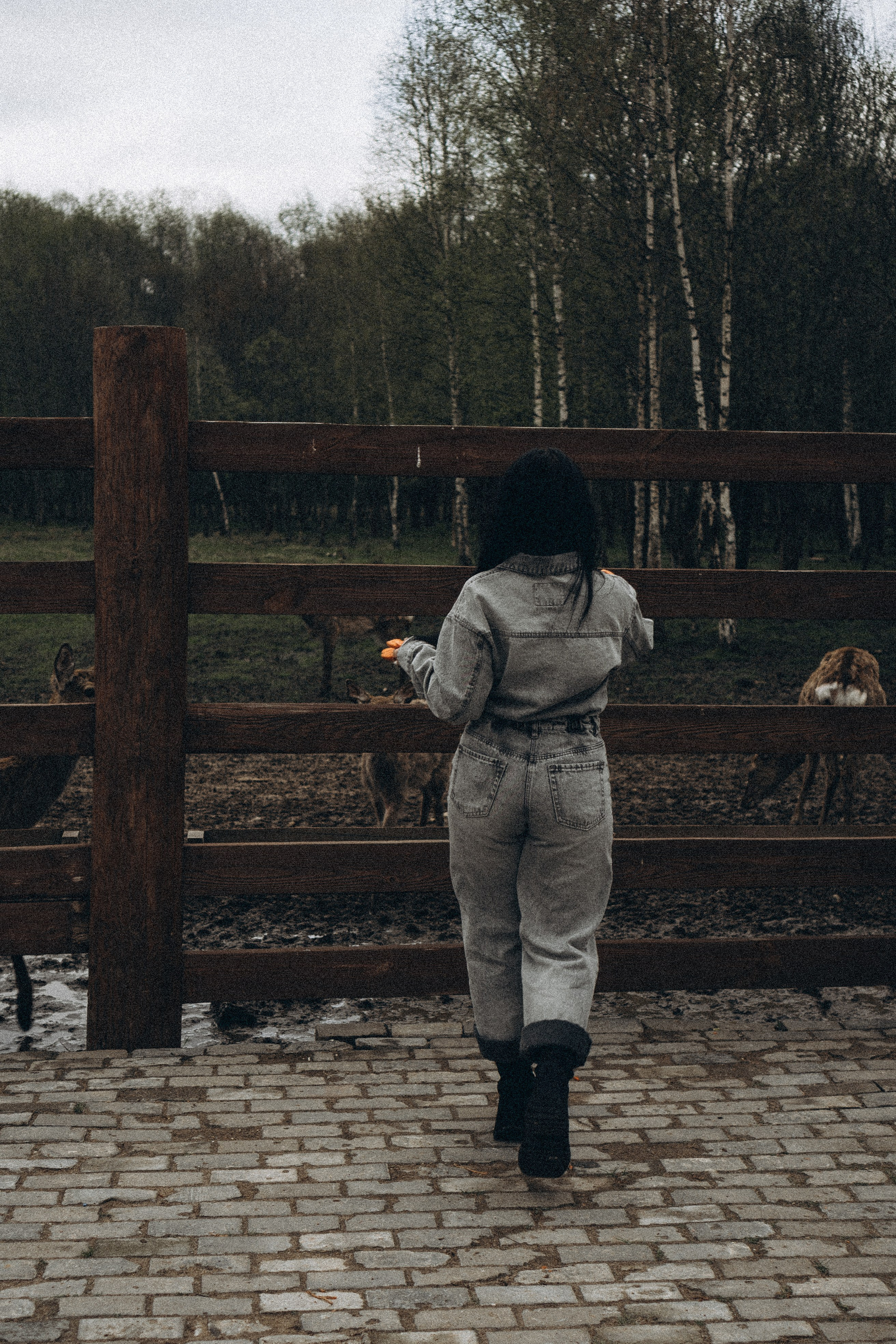 ОЛЕНЬЯ ФЕРМА В ТВЕРИ. Профессиональный фотограф, Санкт-Петербург — Виктория Богомолова