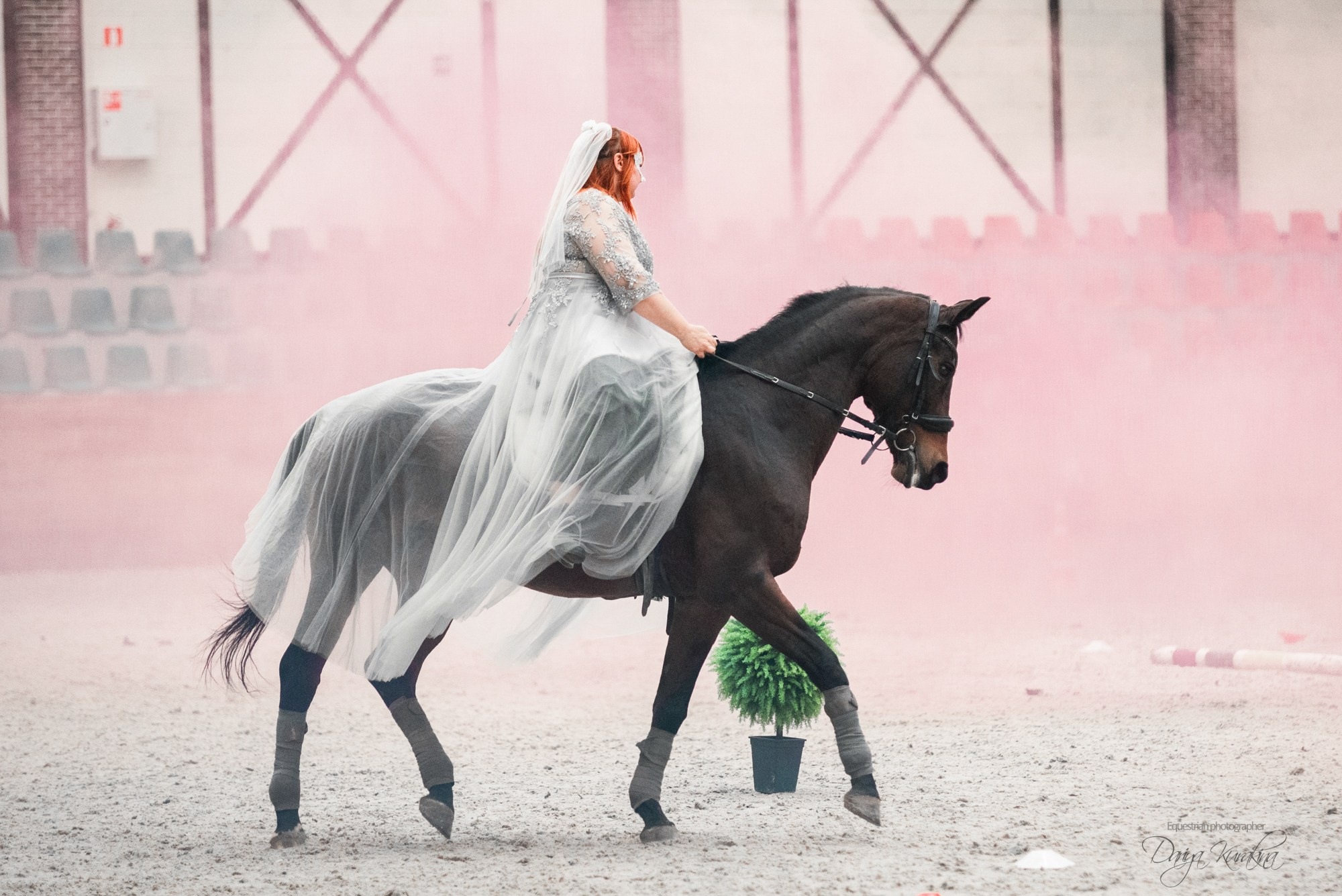 8-я международная выставка Конная Россия. Конный фотограф Куракина Дарья • Фотосессии с лошадьми