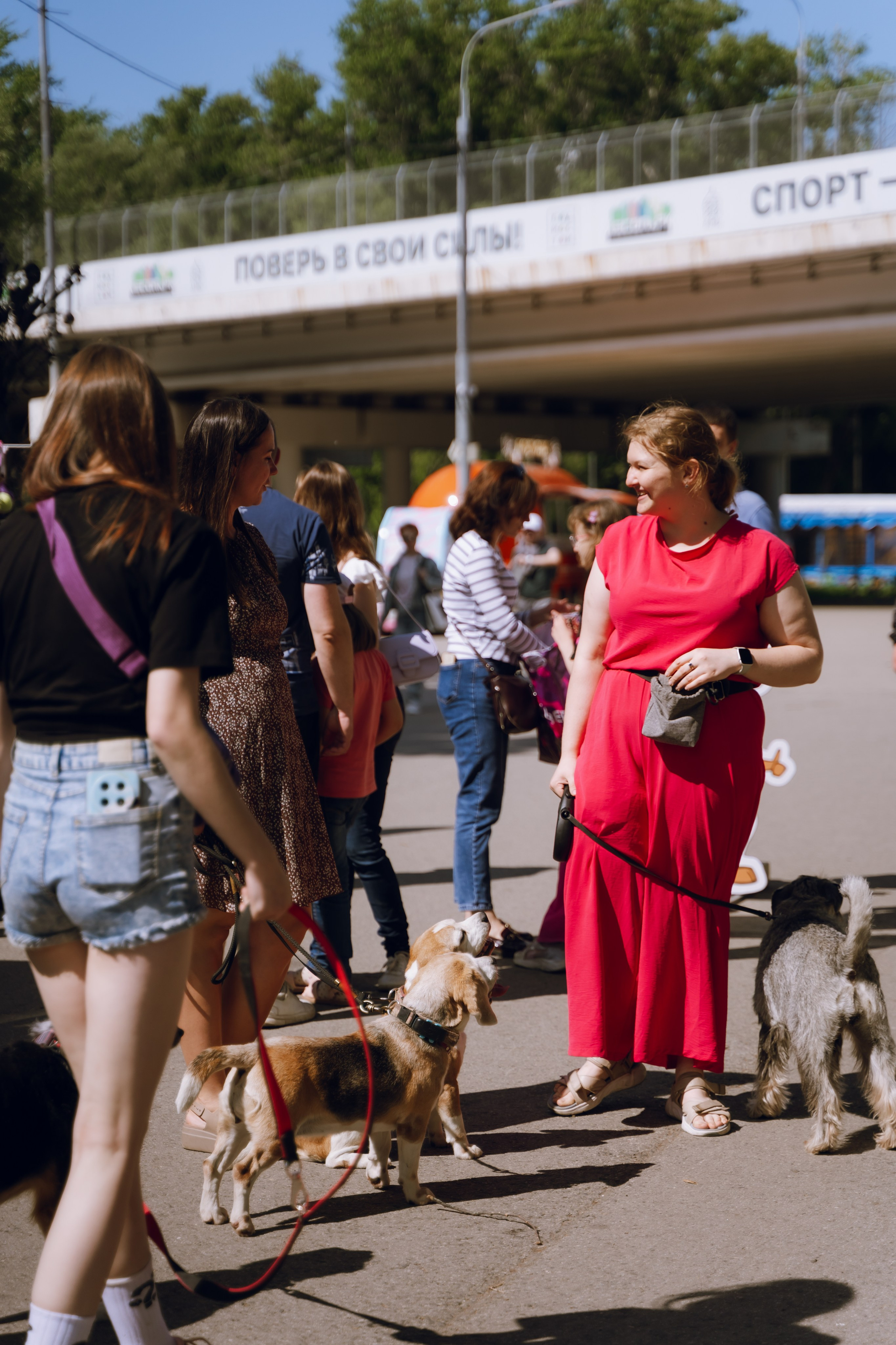 Площадка фестиваля «Мампус и его друзья» в Лесопарке 2025. Фотограф Надежда Погребняк | Рязань | Москва