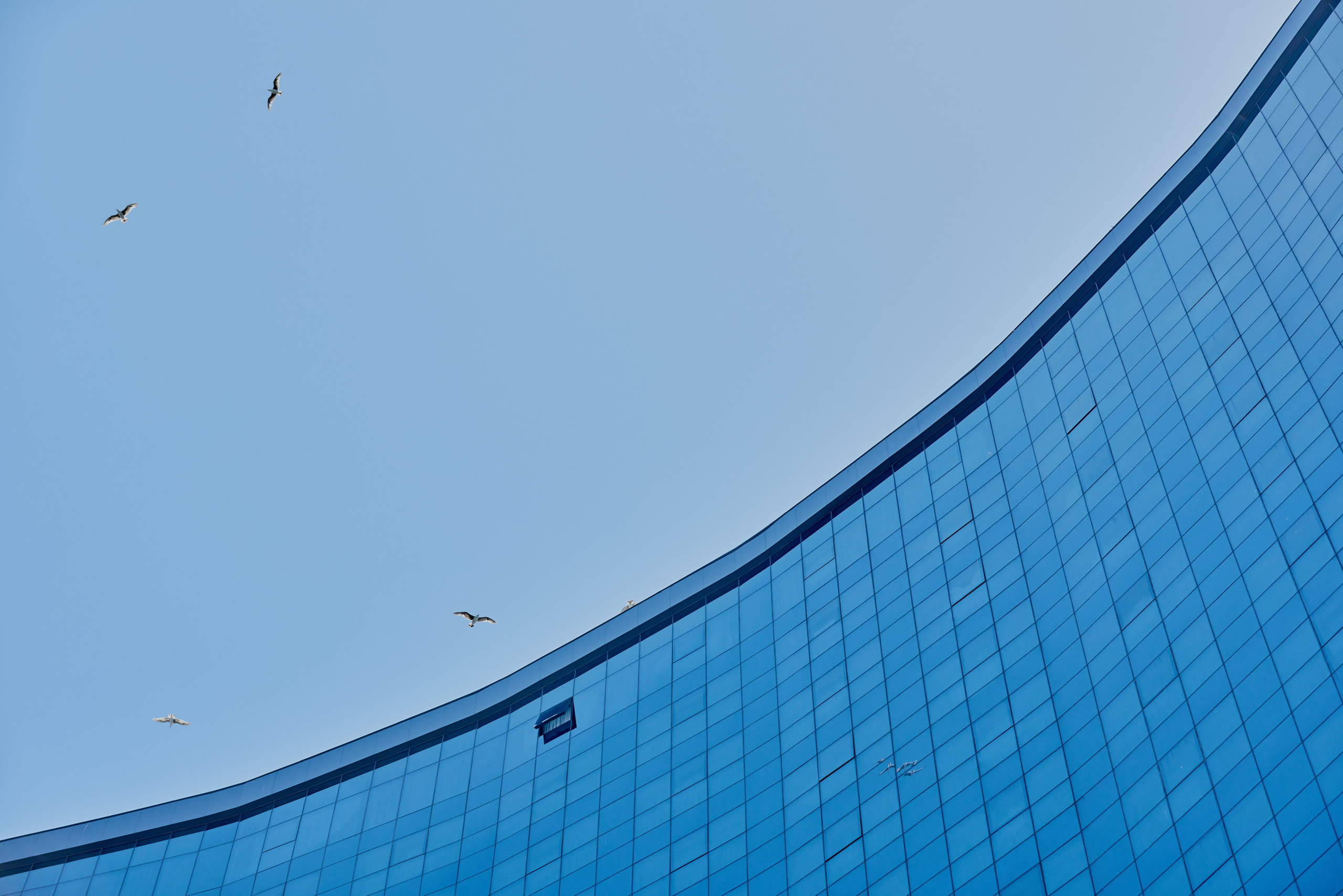 LEGEND BATUMI. Режиссёр, клипмейкер, фотограф — Андрей Охота