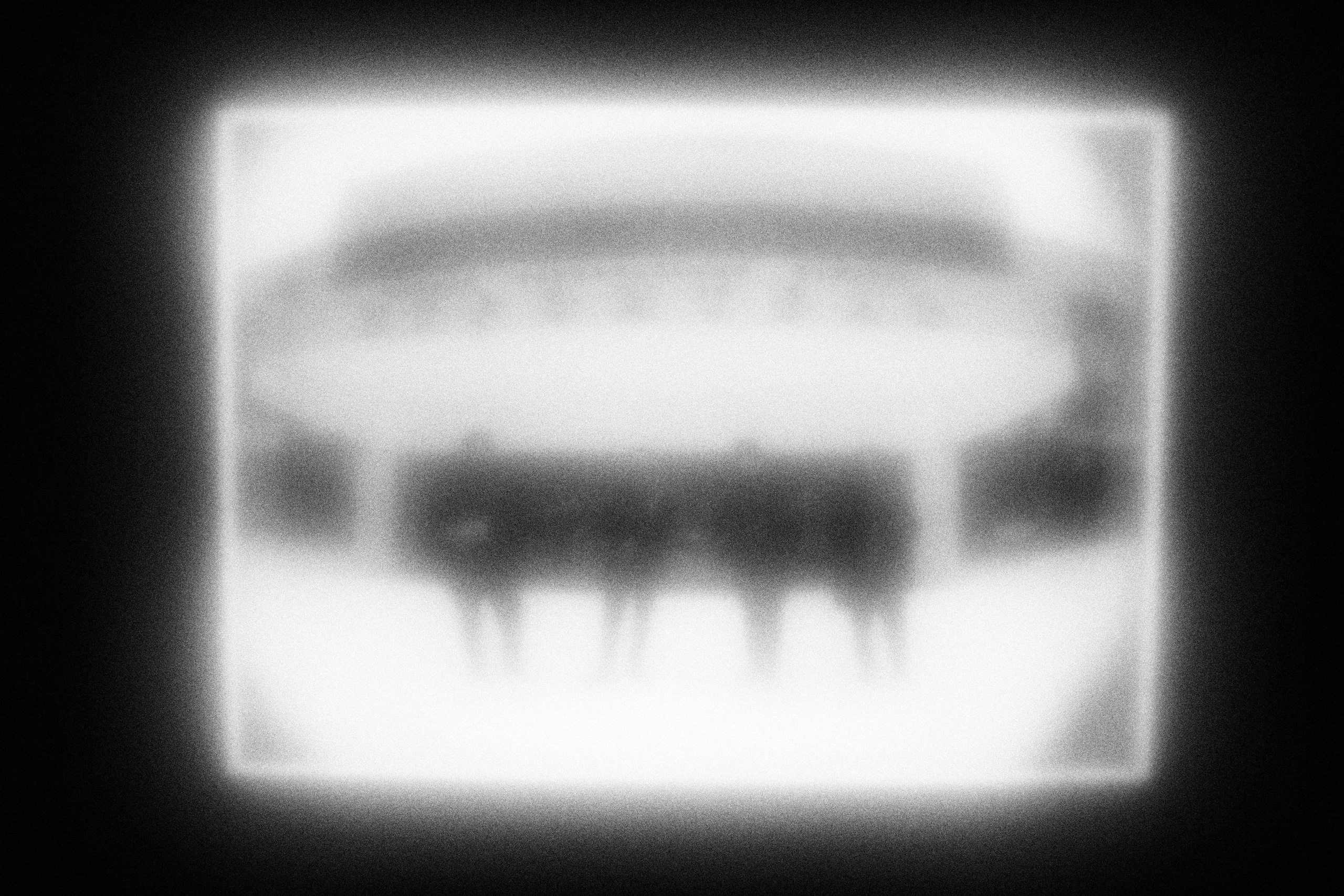 Маленькие искусства и я, Полина Шадрина