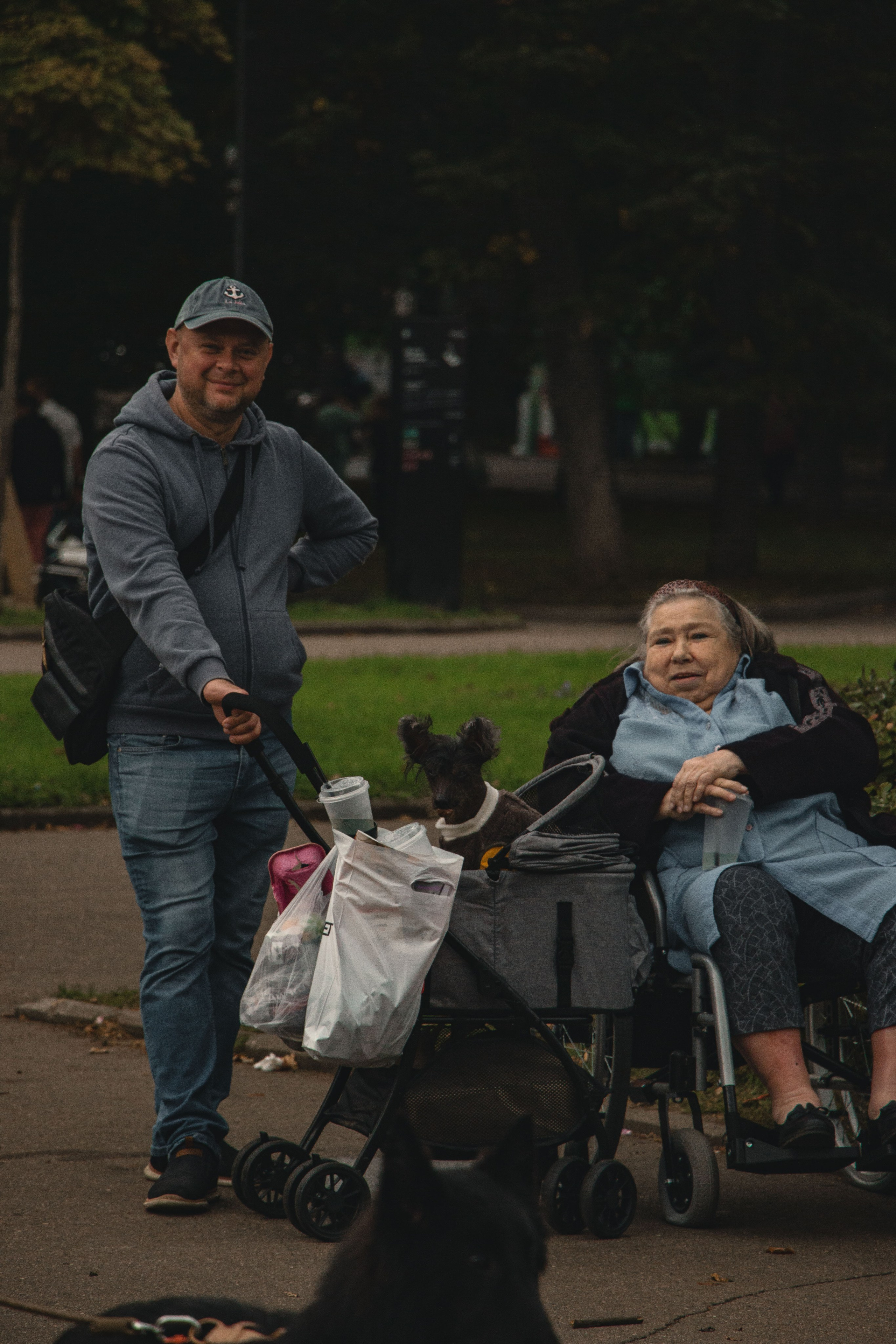 ХвостФест. Фотограф домашних животных в Москве | Данил Сорокин