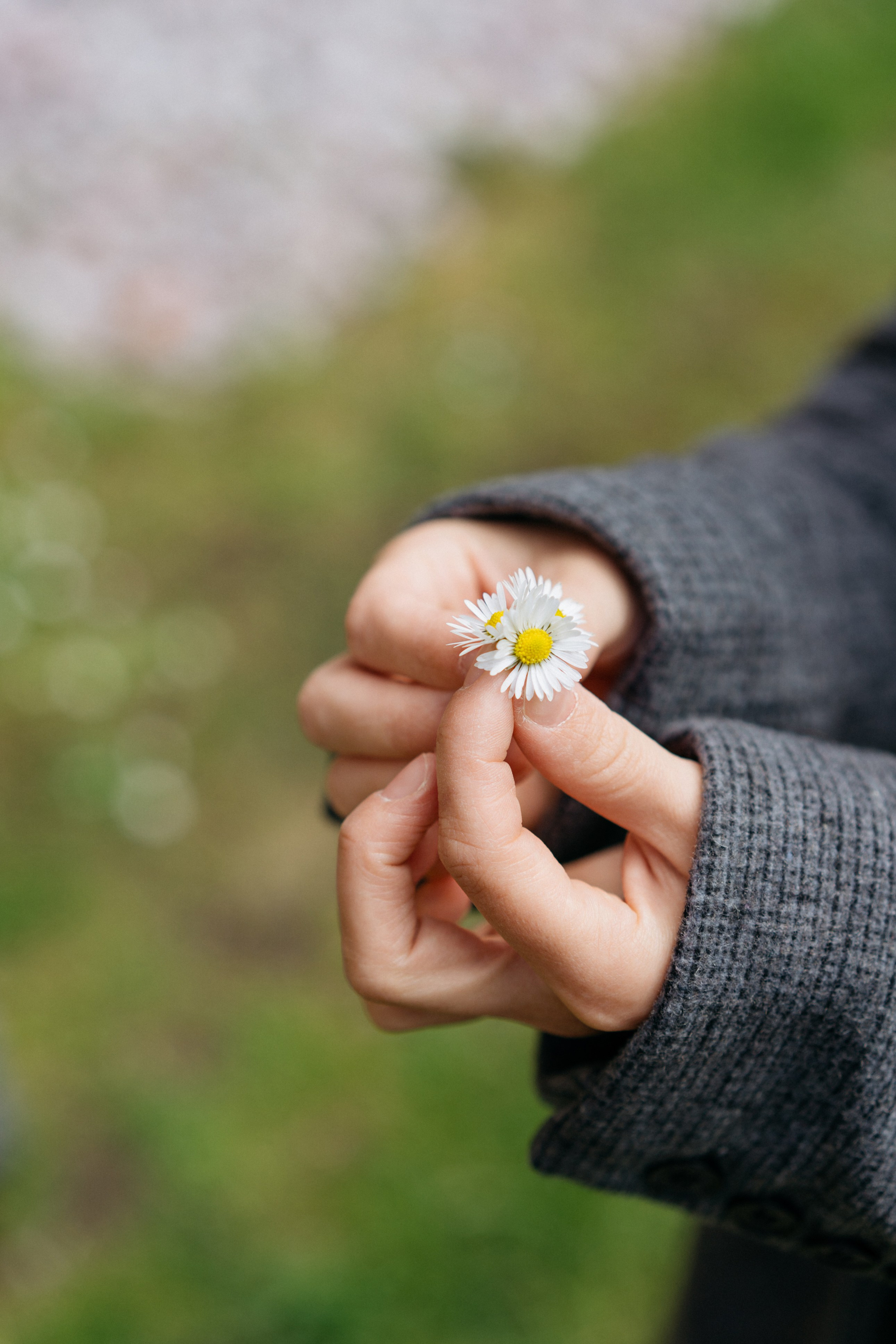 Остров Канта. Свадебный и семейный фотограф в Калининграде Анастасия Гриценко