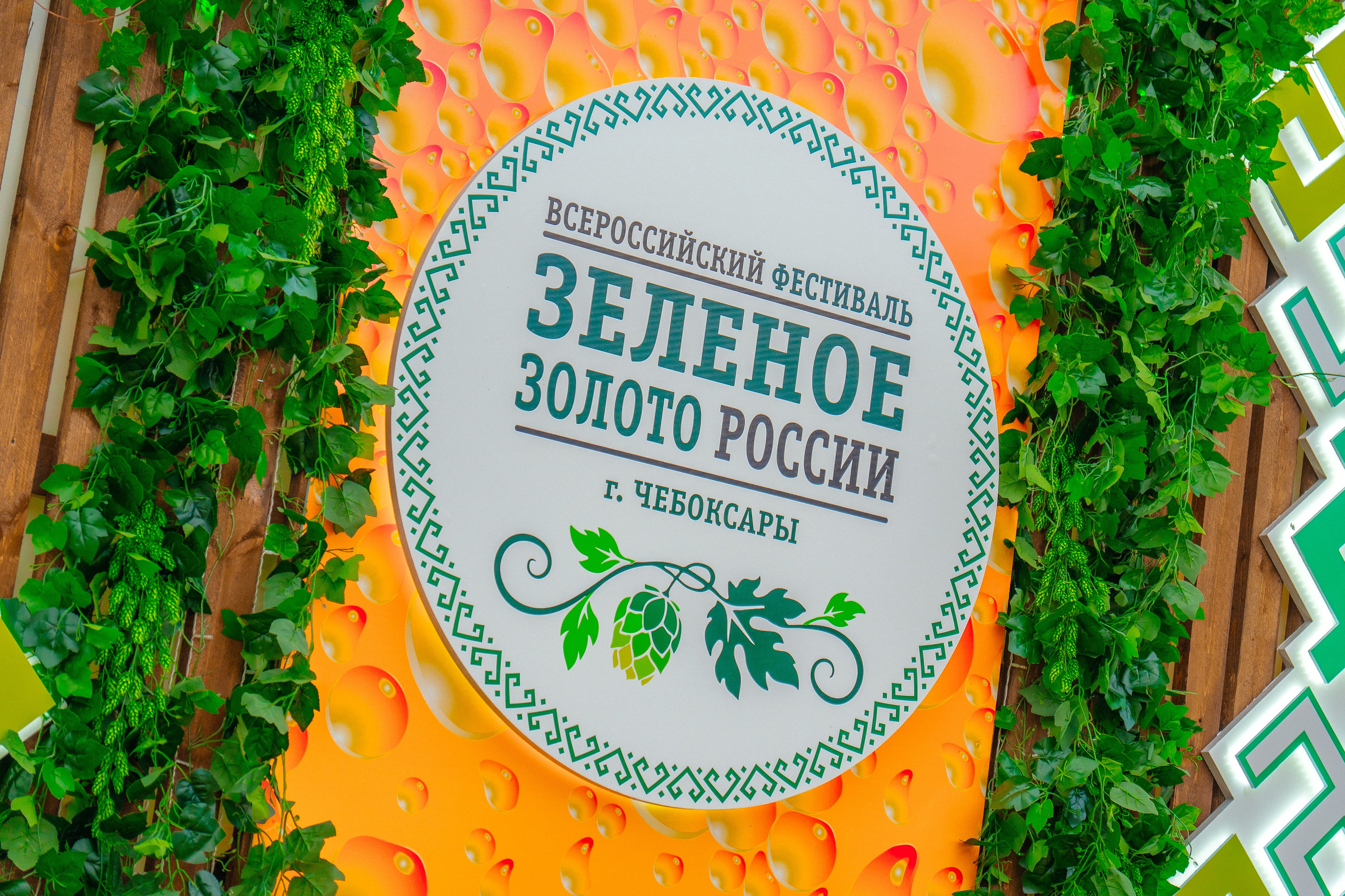 «Зелёное золото России» 2024 — Балтика. Pixel — студия корпоративного производства