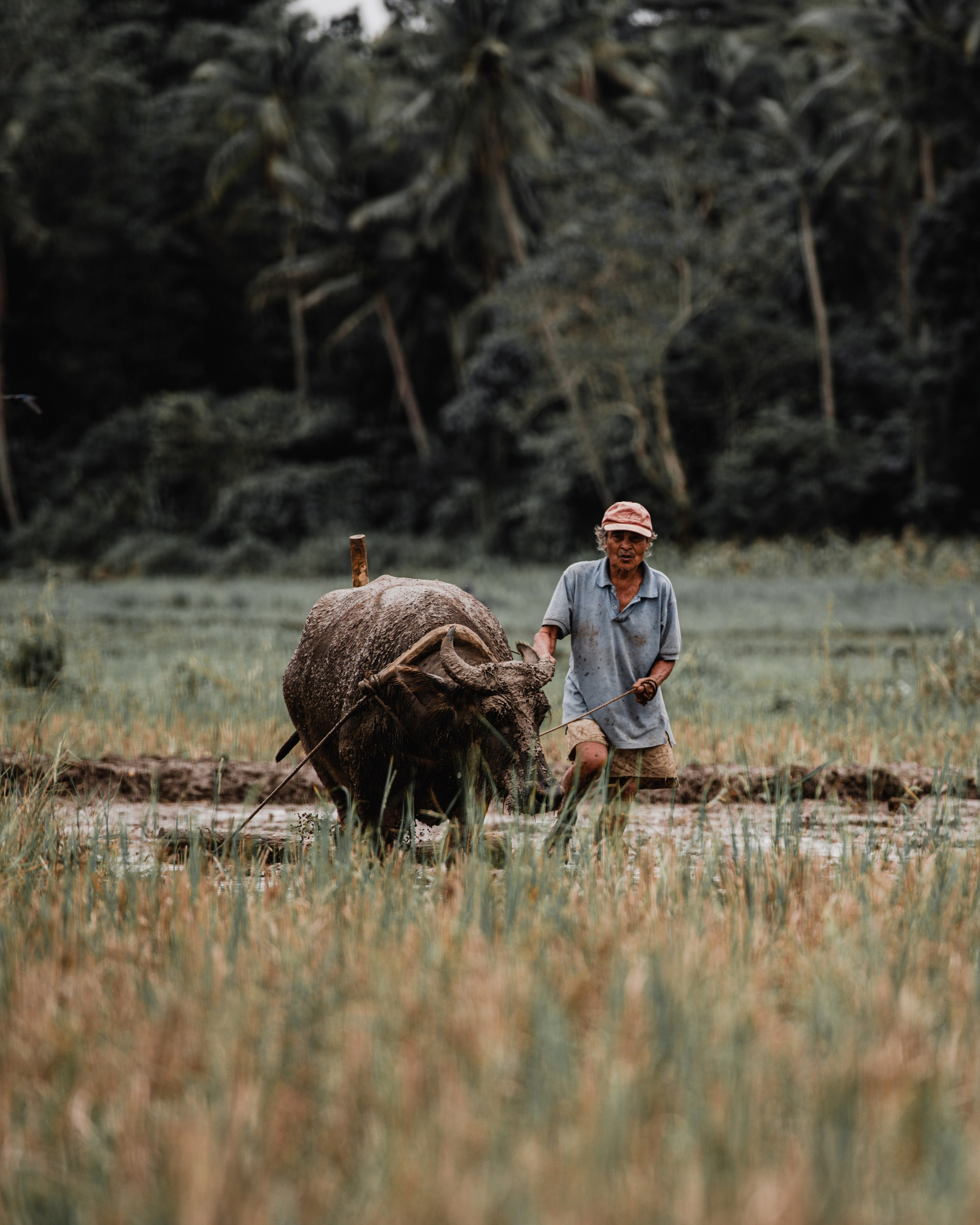 Philippines. Photographer in Tokyo Anatolii Ozarto
