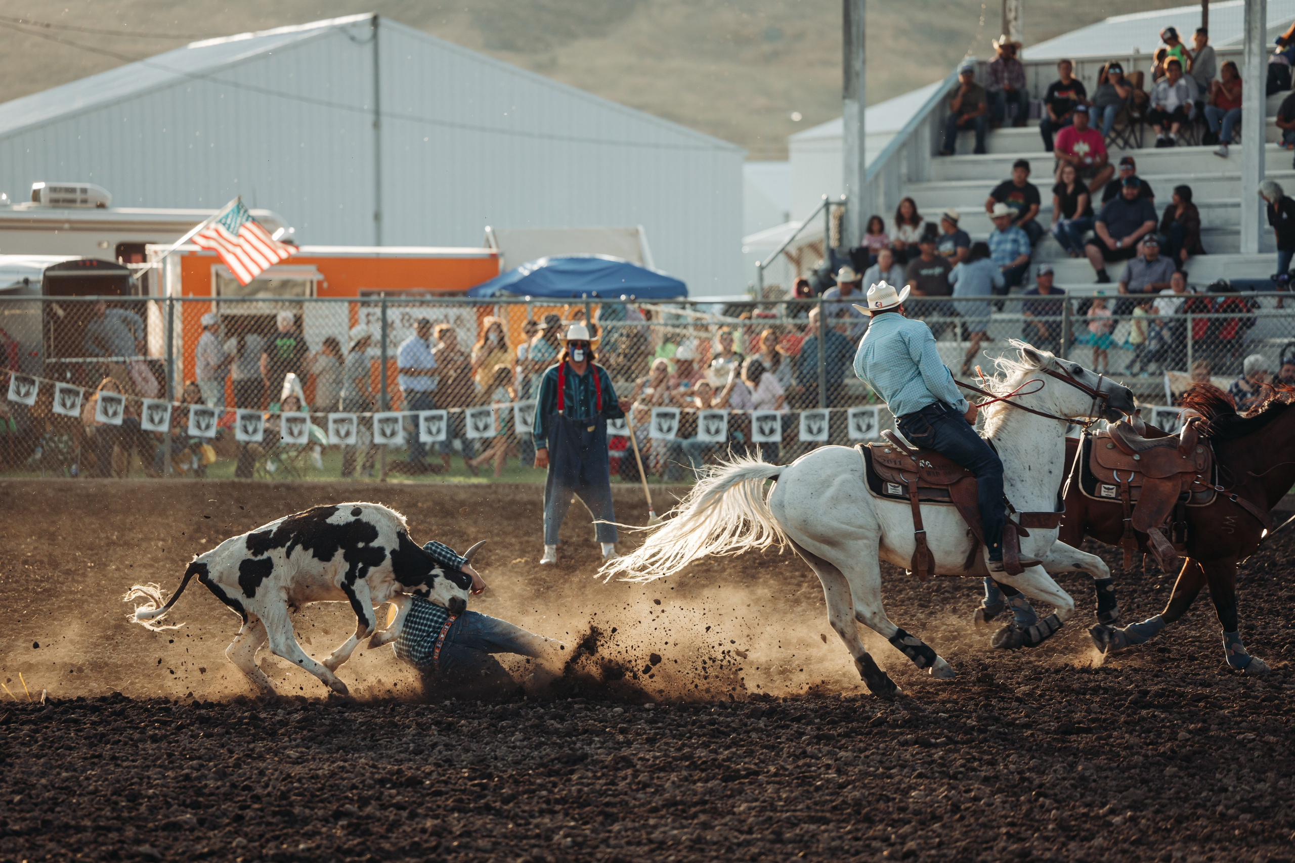 Родео с белой лошадью и телёнком. Колористика photo