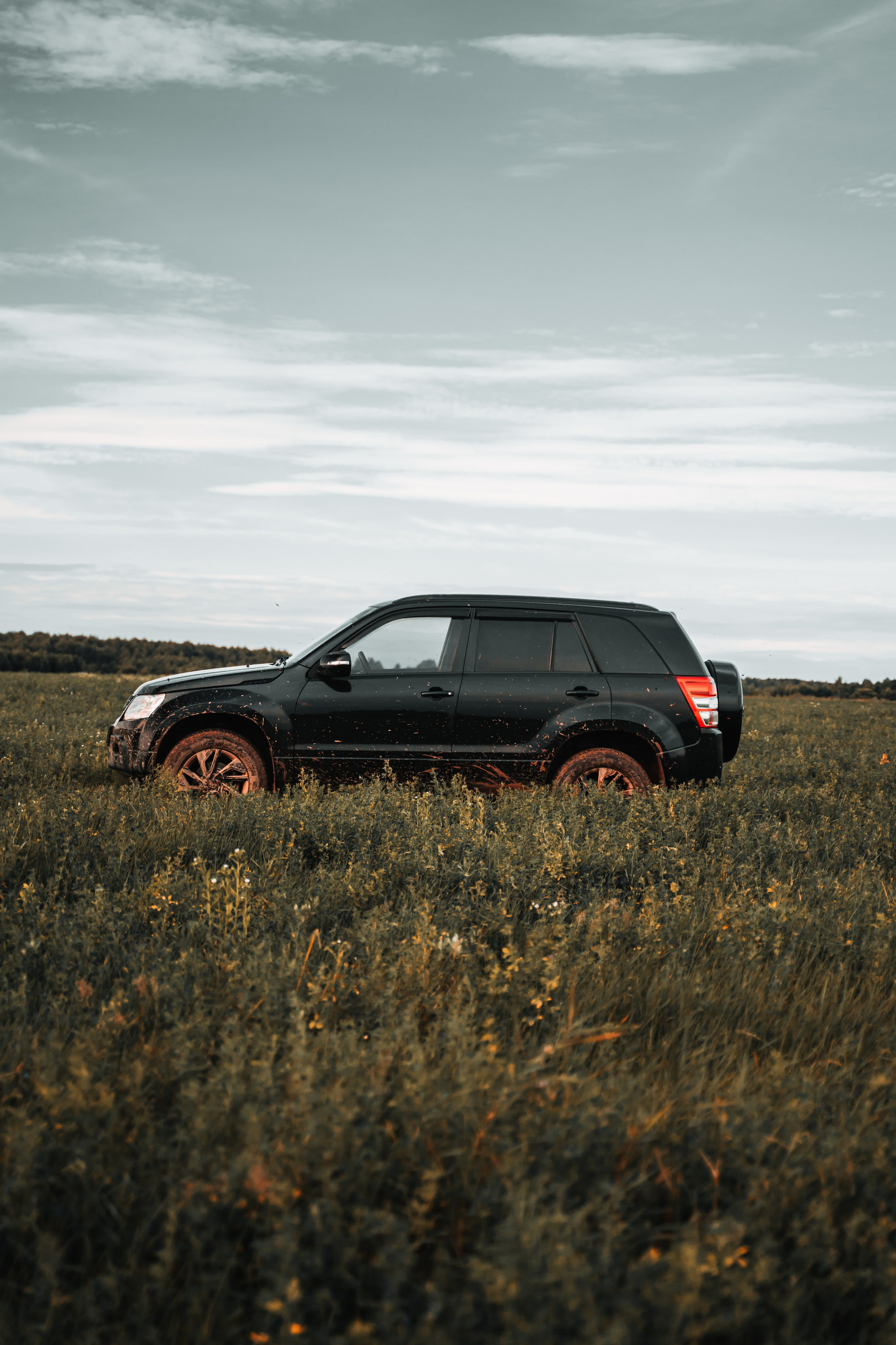 Suzuki Grand Vitara. Vlad Trykov