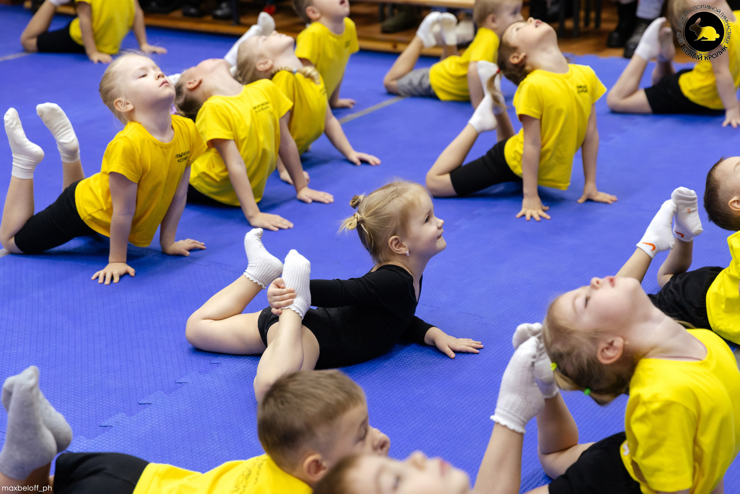 Белый кролик. Соревнования. Семейный фотограф — Макс Белогрудов