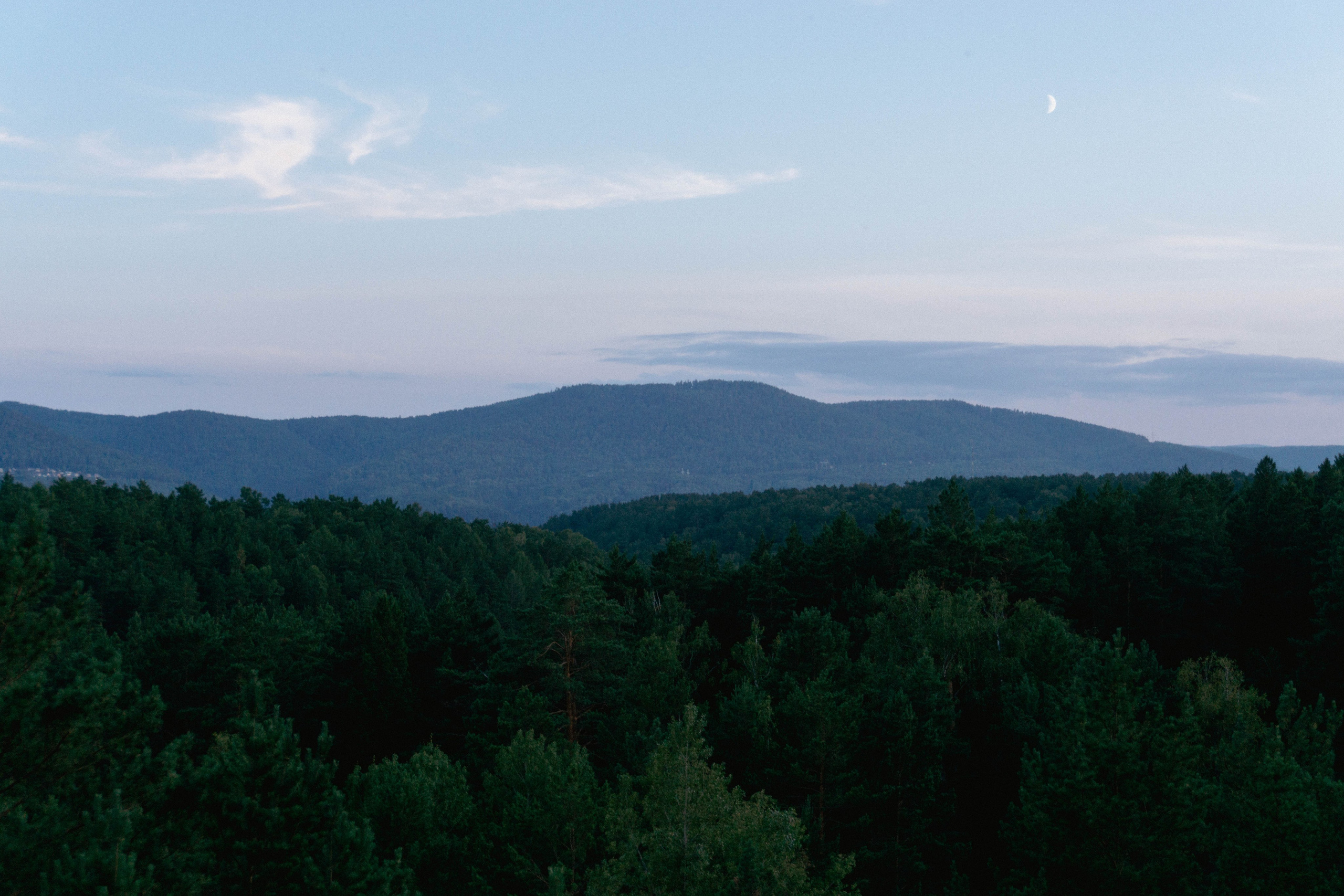 31.07.2025 | Красноярск. Kuznetsov | Фотограф в Красноярске