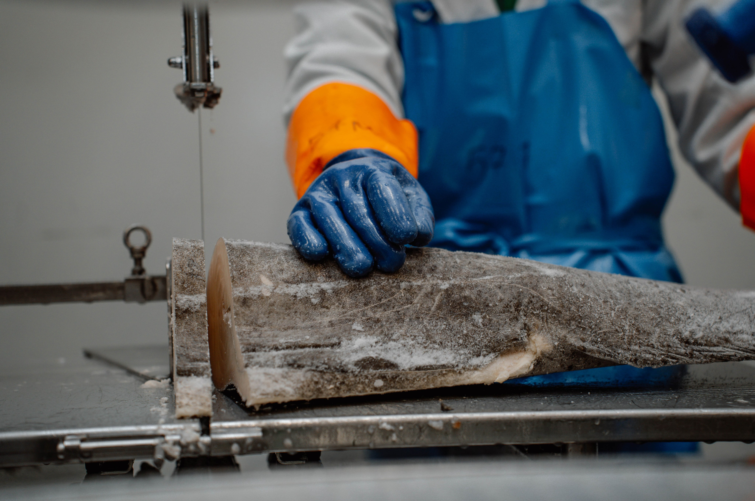 «Росмолодеж» экскурсия. Туманов Кирилл Фото, видео и аэросъемка в Мурманской области