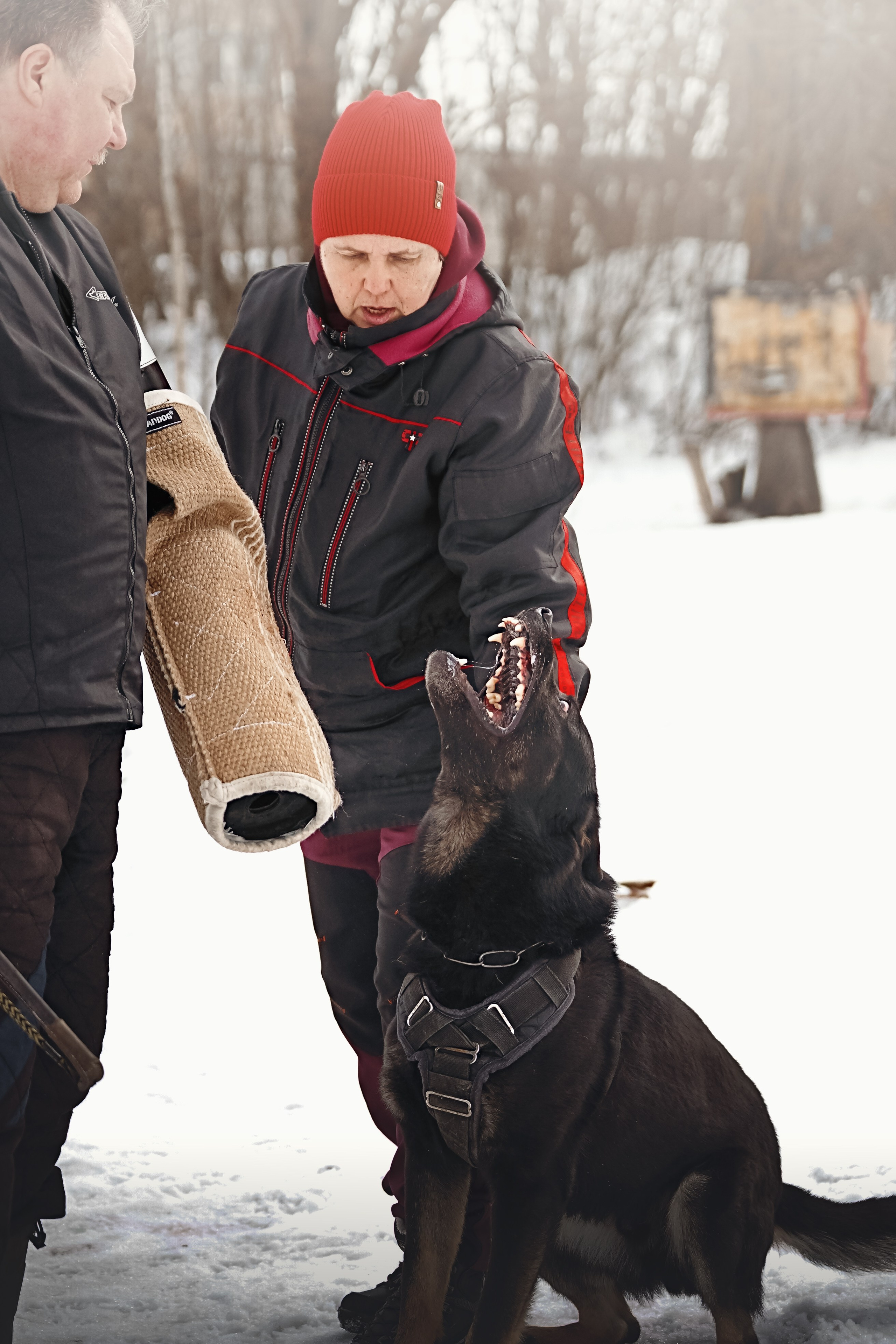 Репортажная съемка. Фотограф-анималист Нижний Новгород