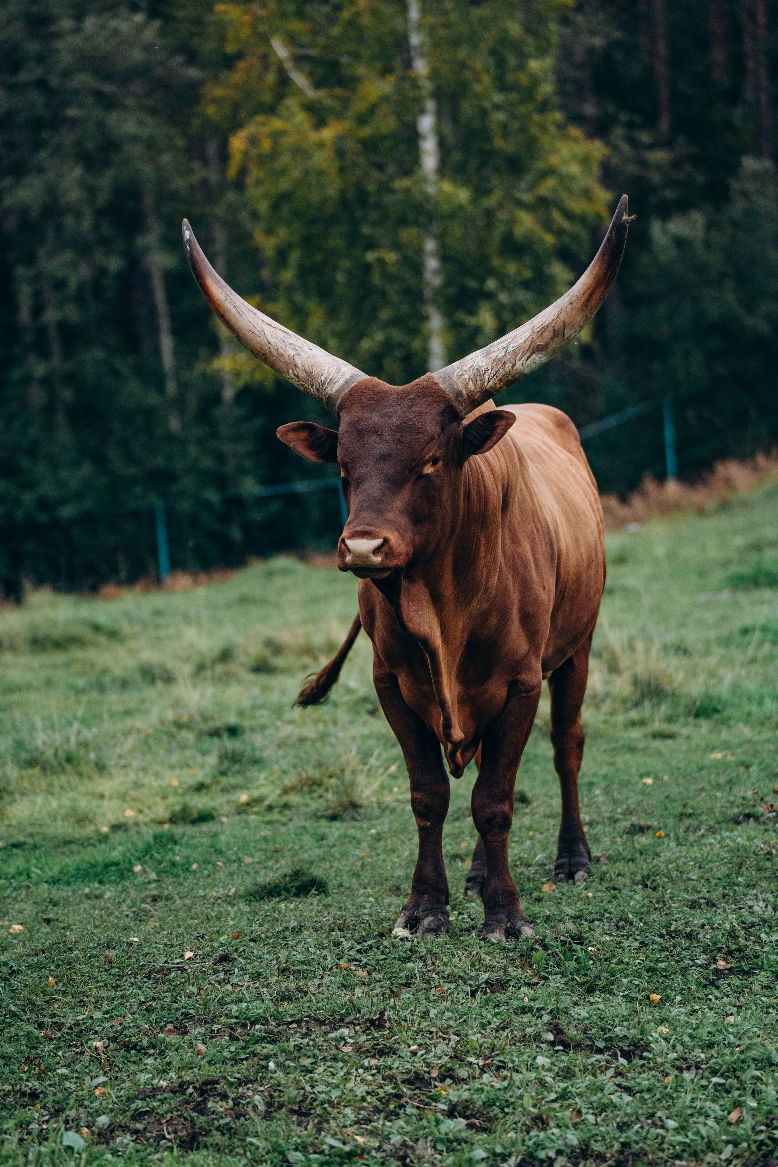 СЕВЕР. Event фотограф Степанова Александра