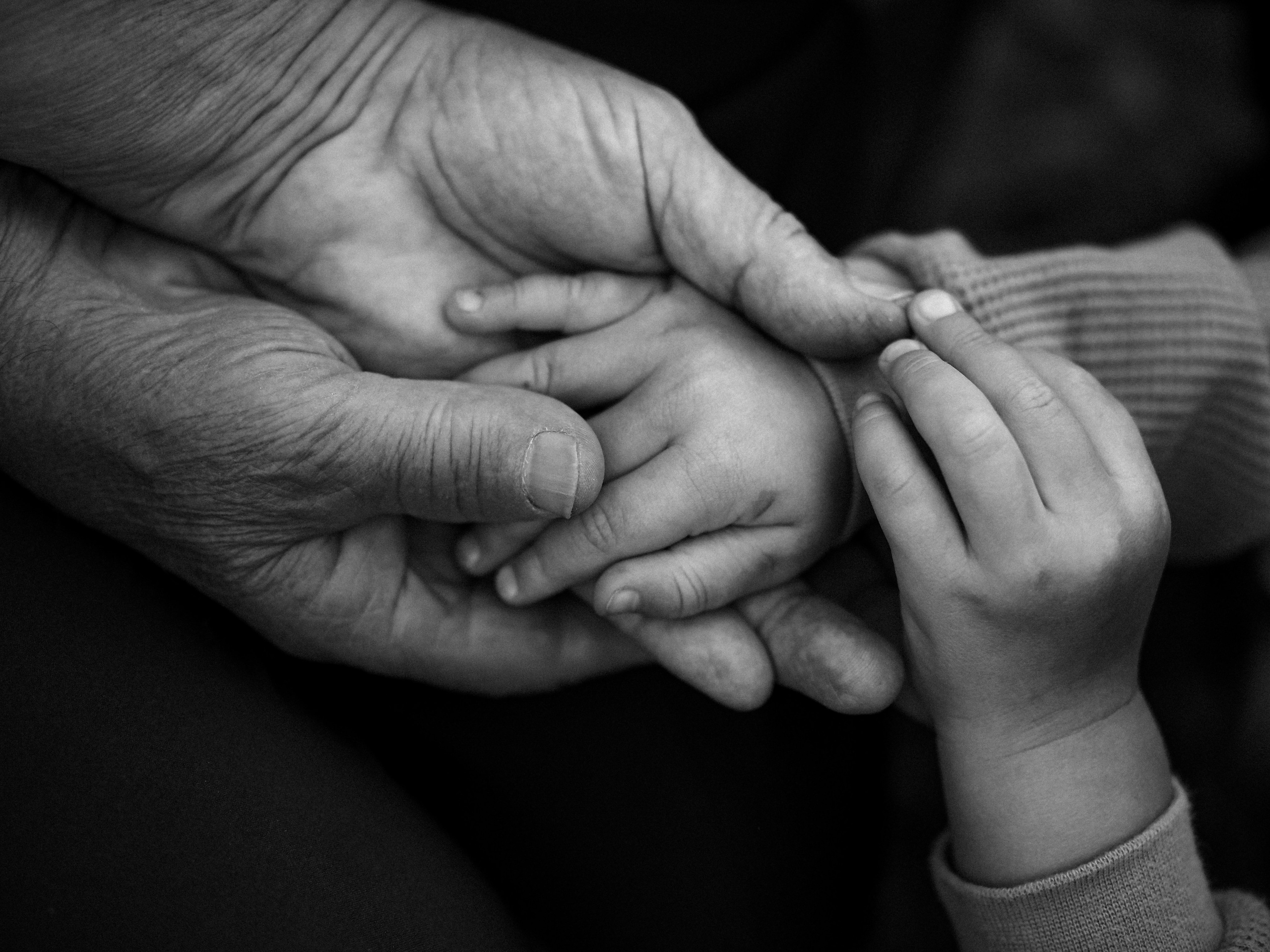 Поколения. Фотограф Рязань. Семейный Свадебный фотограф