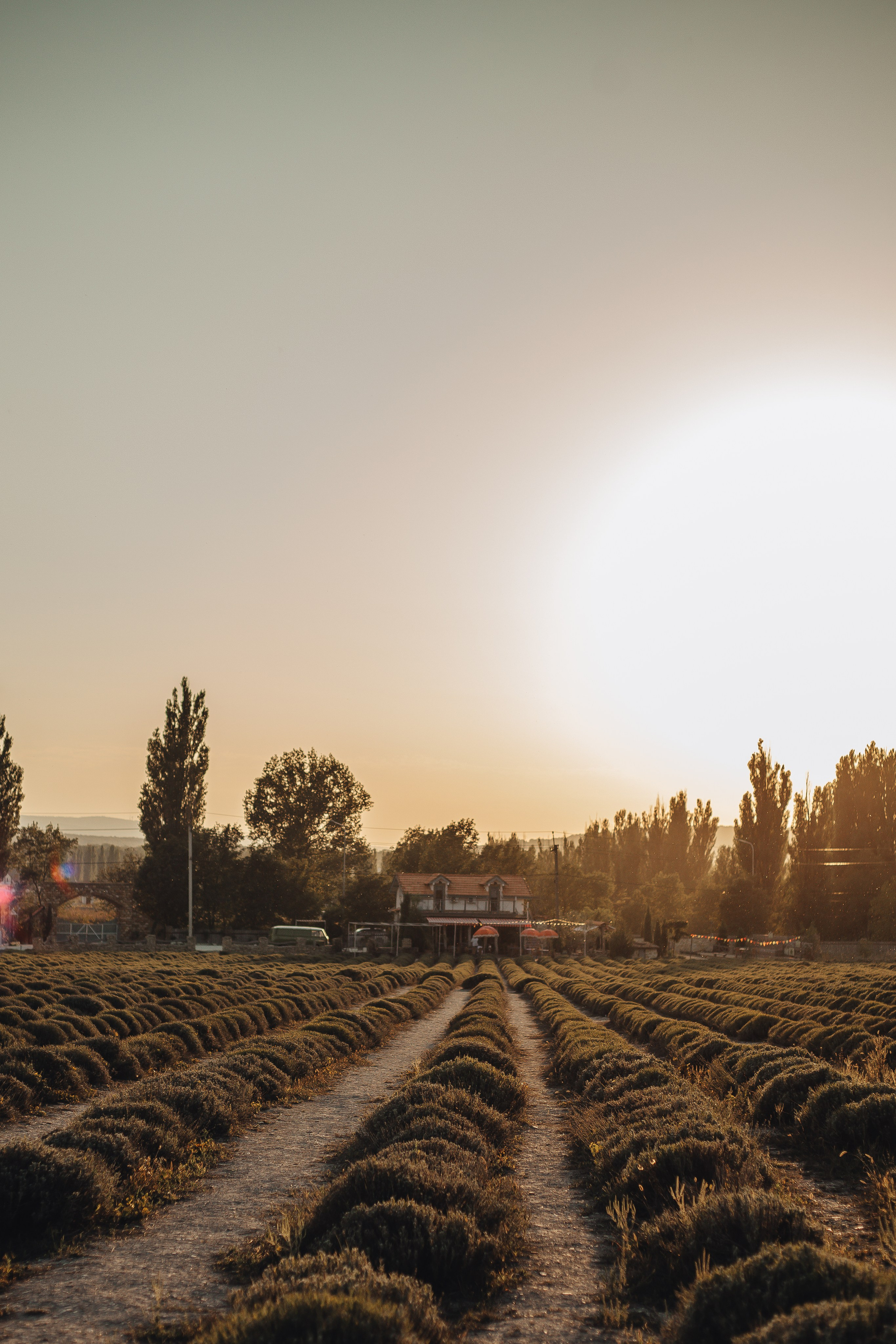 Игорь и Оля — солнце, любовь и нотки Прованса. Семейный фотограф Новороссийск, Анапа, Геленджик — Юлия Давыдова