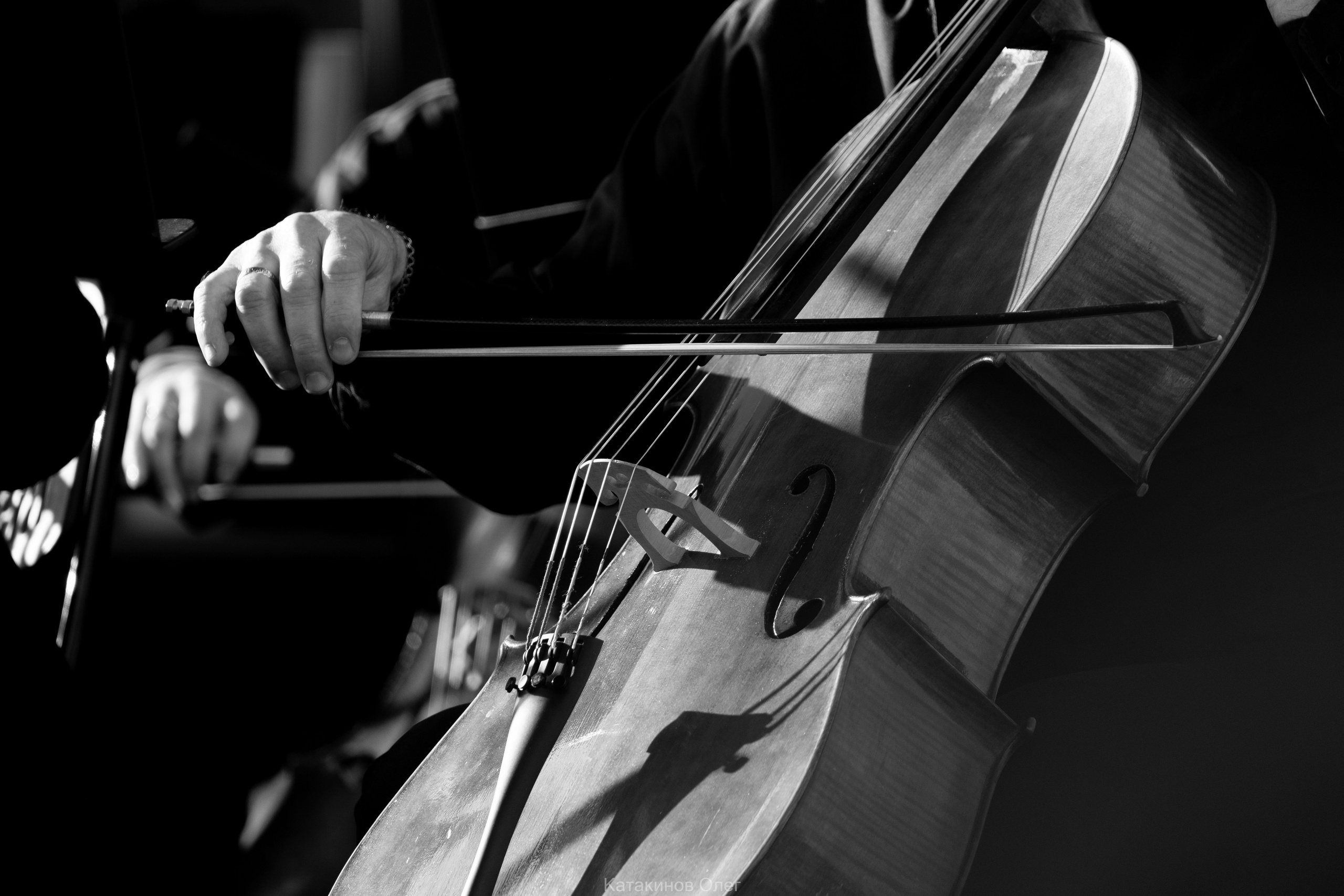 Всероссийский марафон классической музыки «Кантата. Россия» 2025 г. Олег Катакинов| Репортажный фотограф в городе у моря (Владивосток)