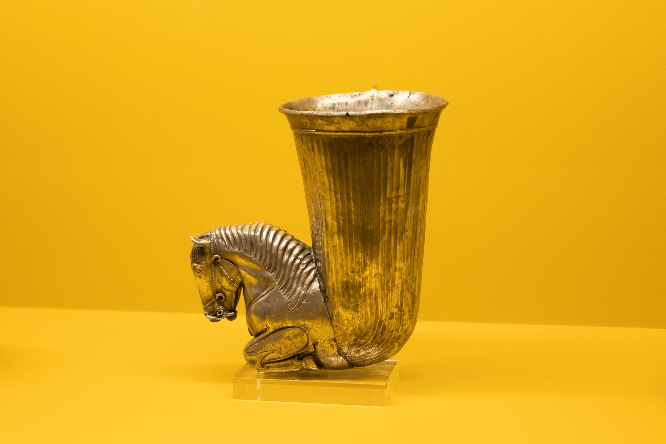 Пушкинский музей: открытие выставки Царству Урарту. Репортажный фотограф видеограф в Москве Ольга Плаксина