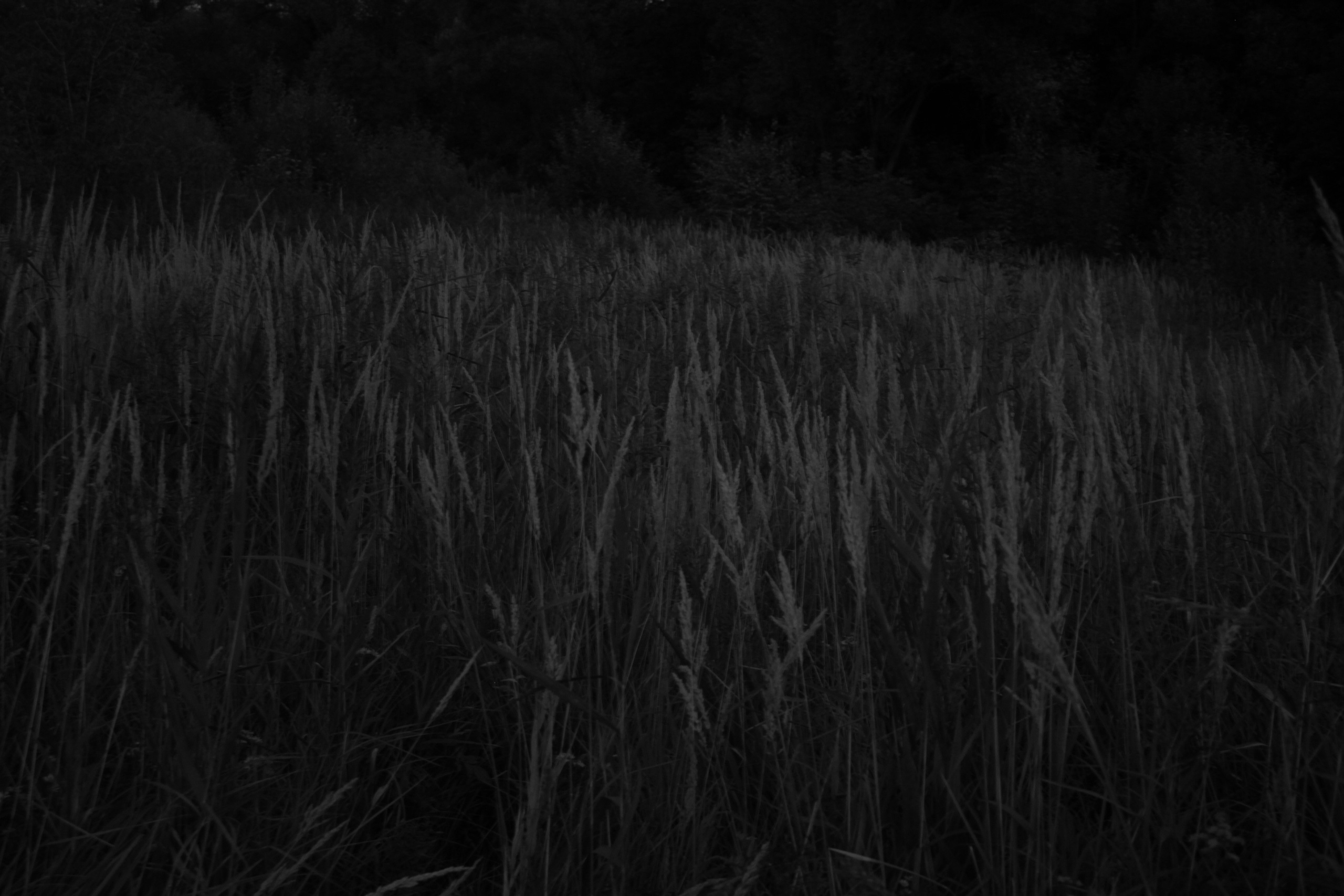 Мужской портрет. Анна Короткова, фотохудожник, г. Москва