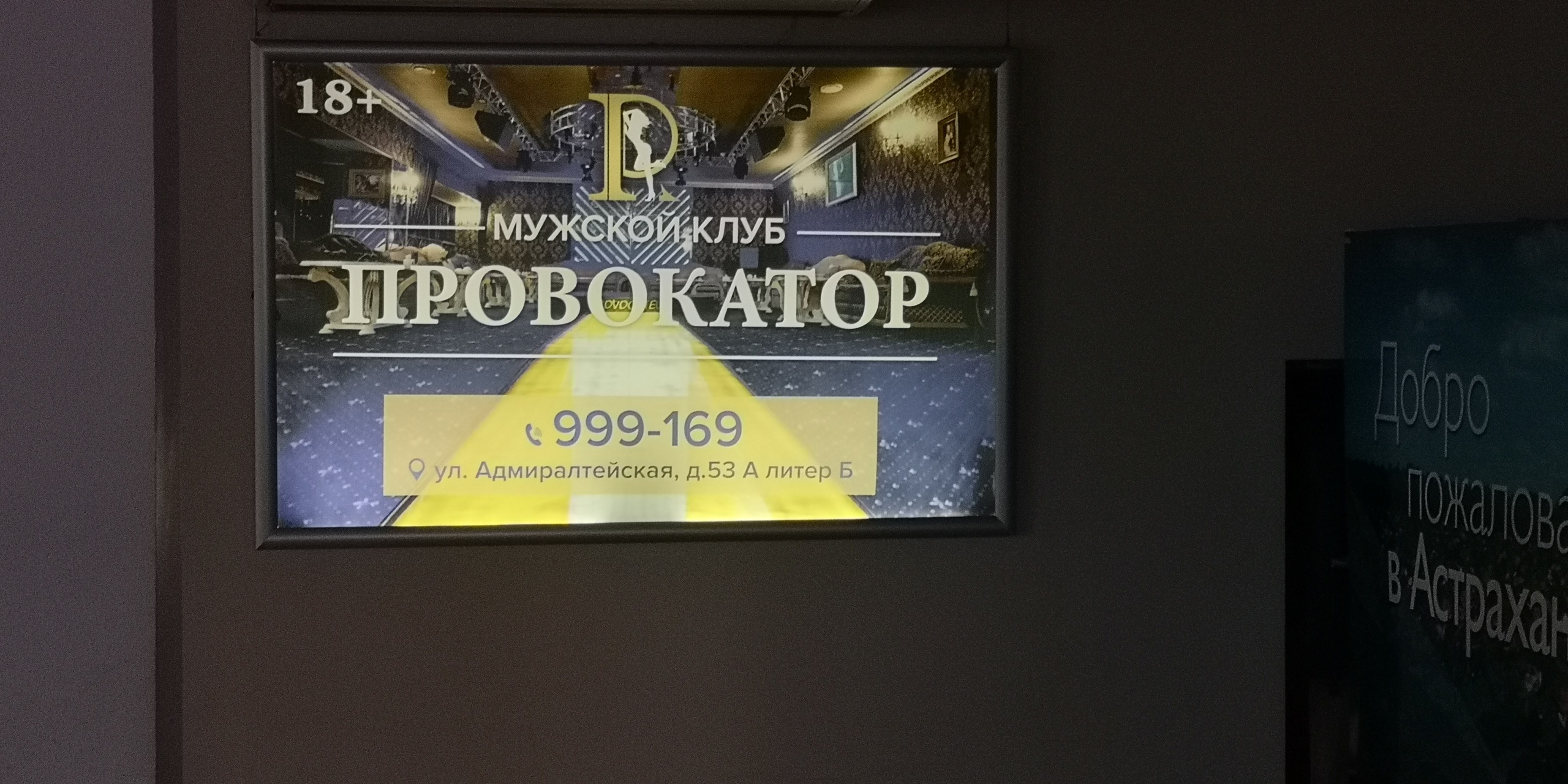 Каспийское море (наука на Ла-8) (2021 г.). Фотоальбом показывающий увлекательный мир авиации и мир медведей Андрея Иванова