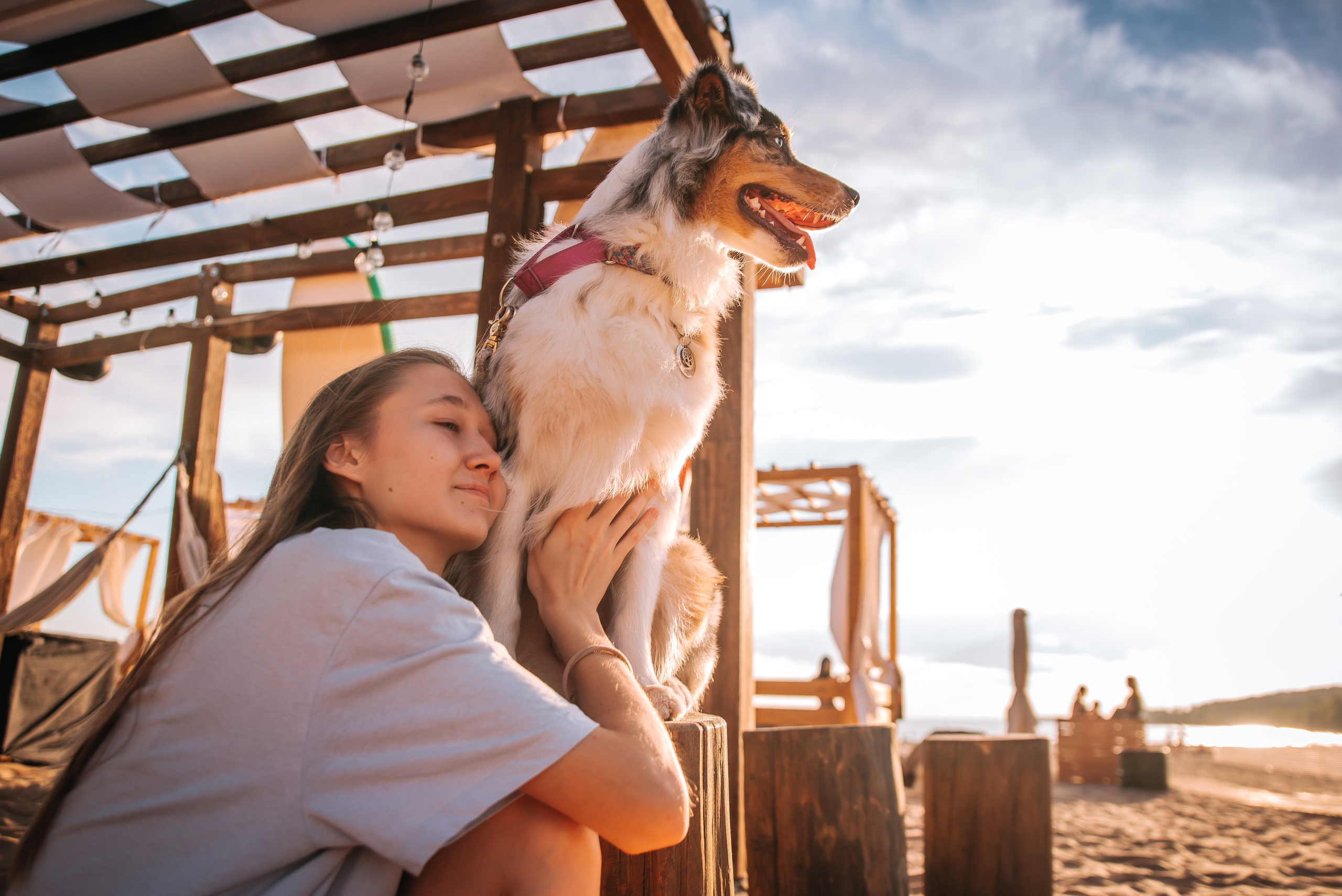 No Bad Days. Главная