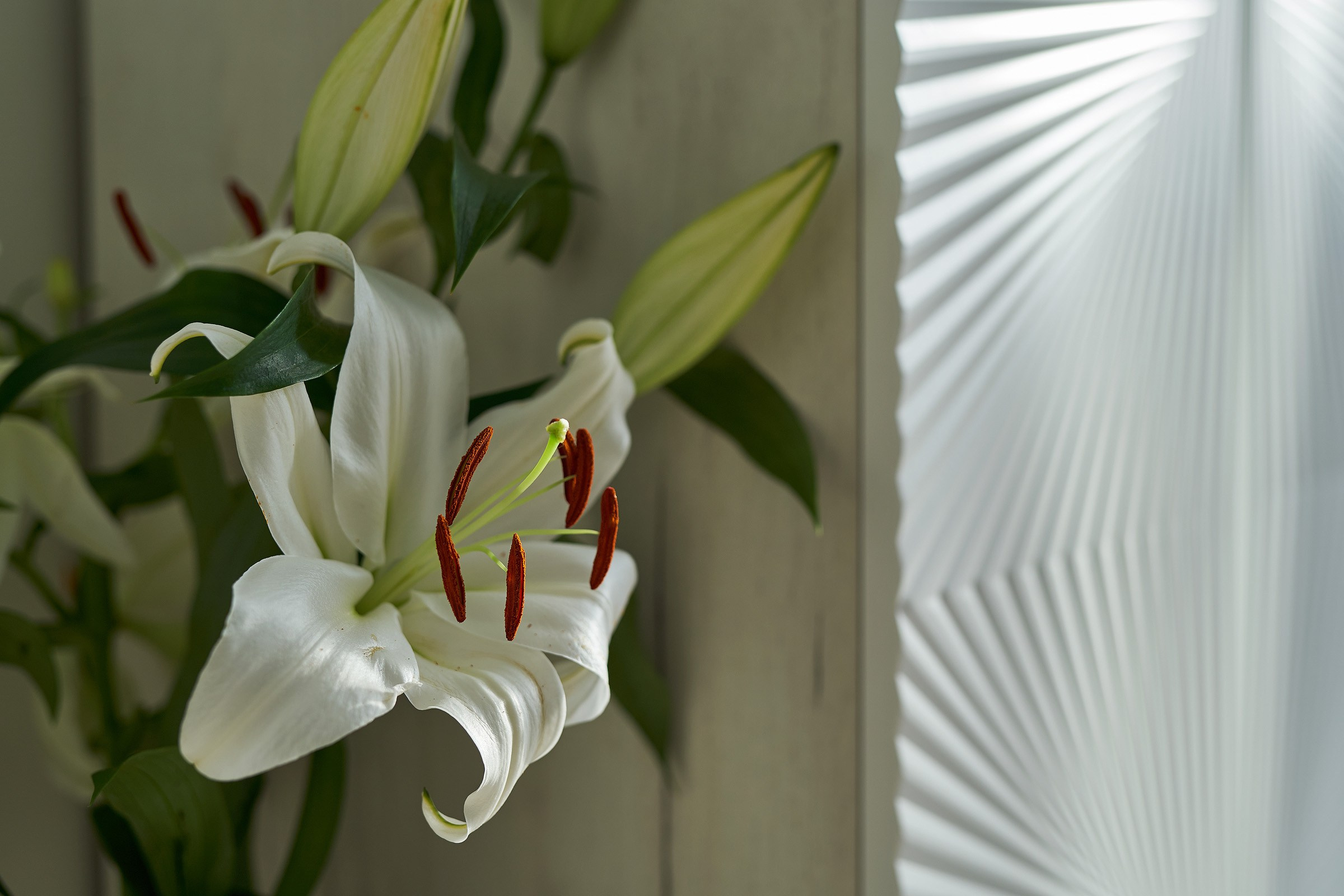 Детали. Фотограф интерьеров и архитектуры в Калининграде Demms Photography