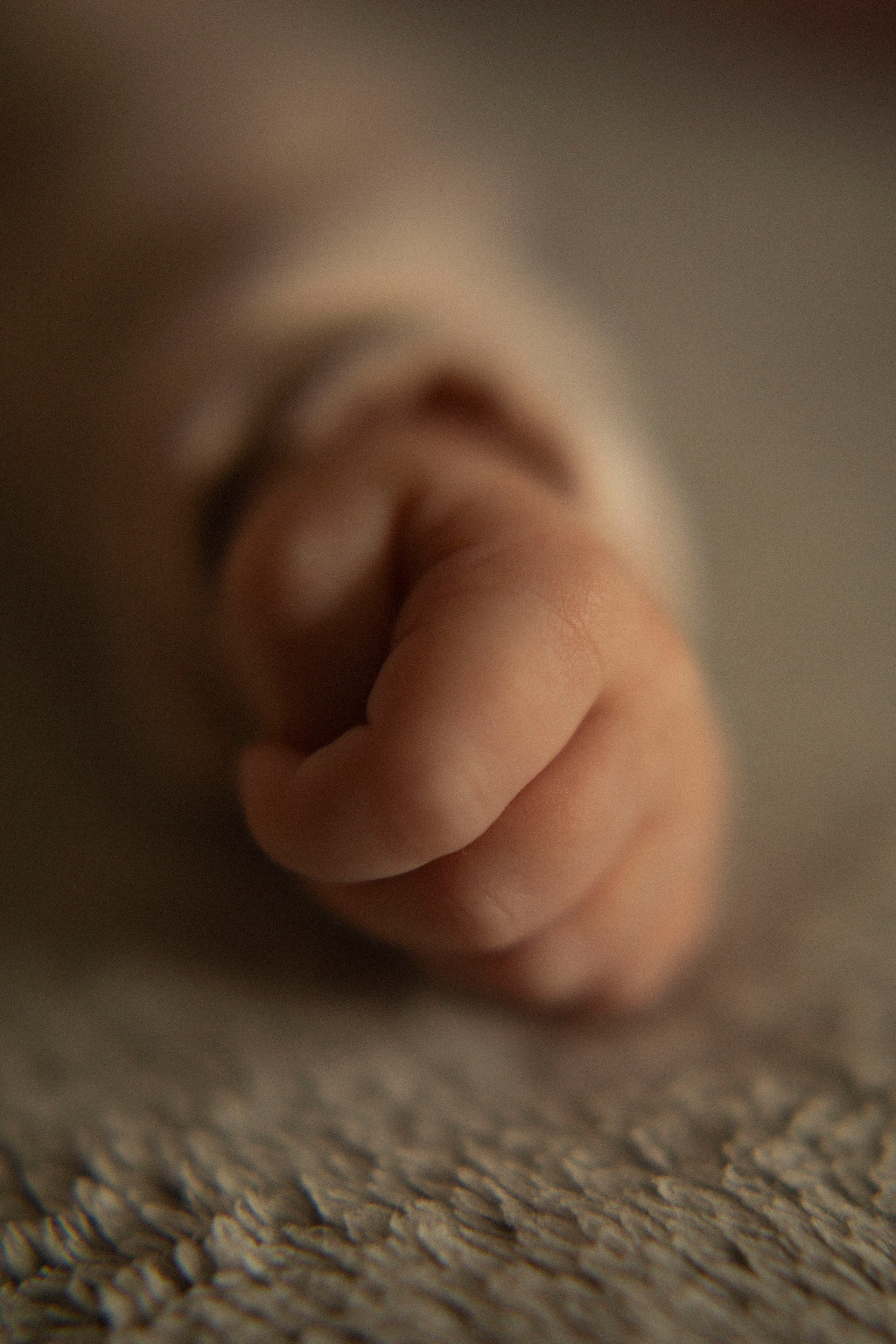 Новорожденные. Семейный фотограф Новосибирск