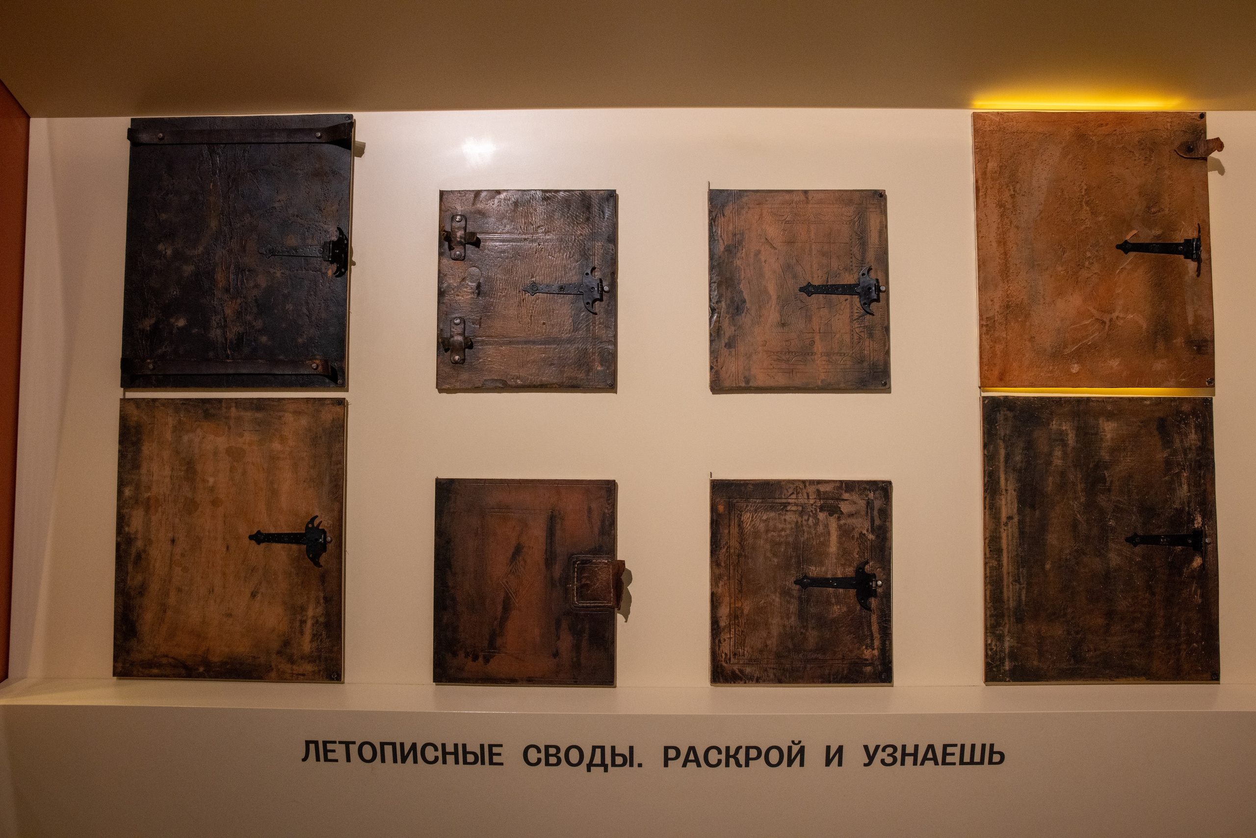 Поездка на поле Кулеково. Фотограф в Туле Крупский АнДРей. Фотостудия «КАДР71» в Туле